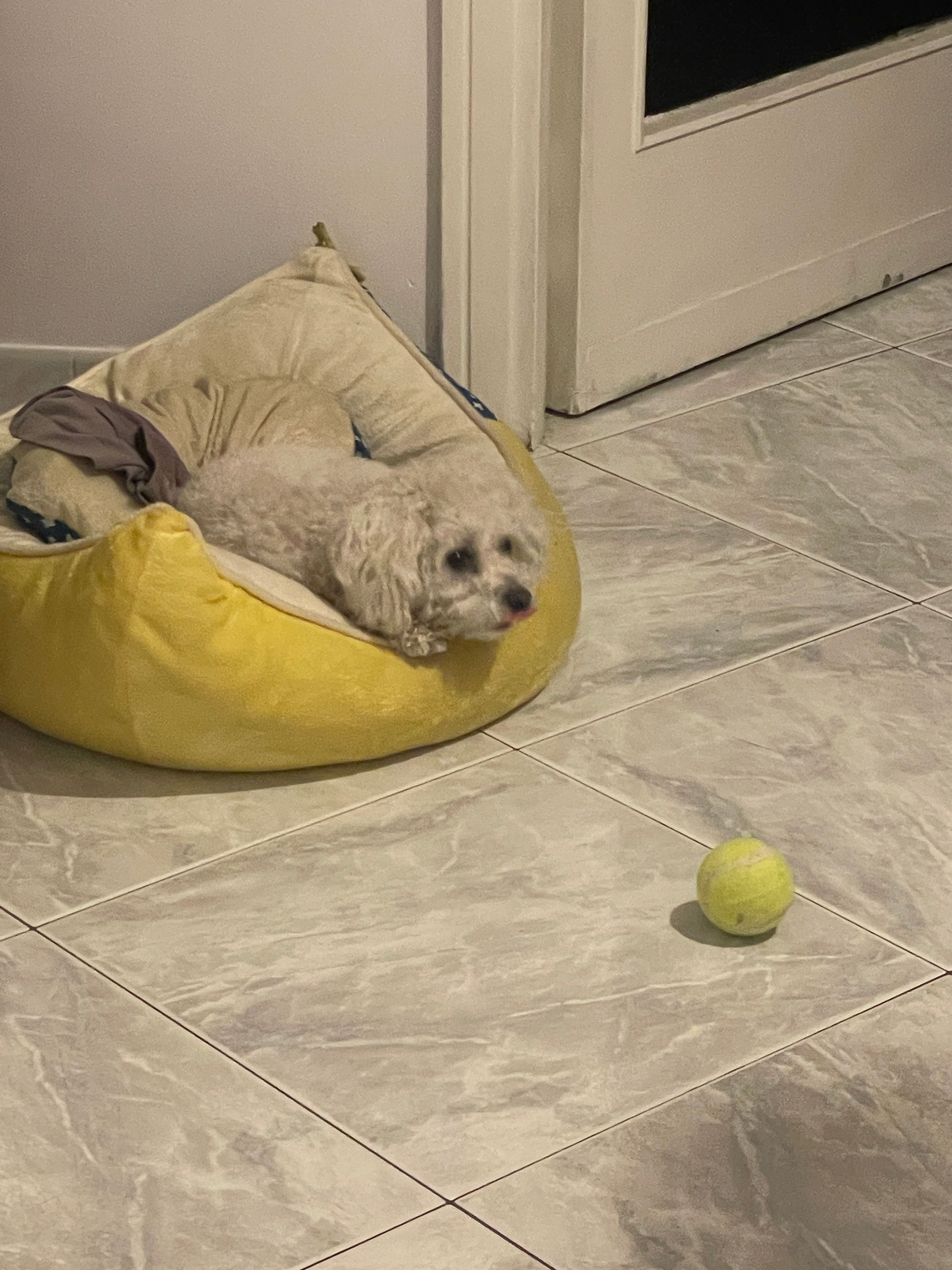 image-6