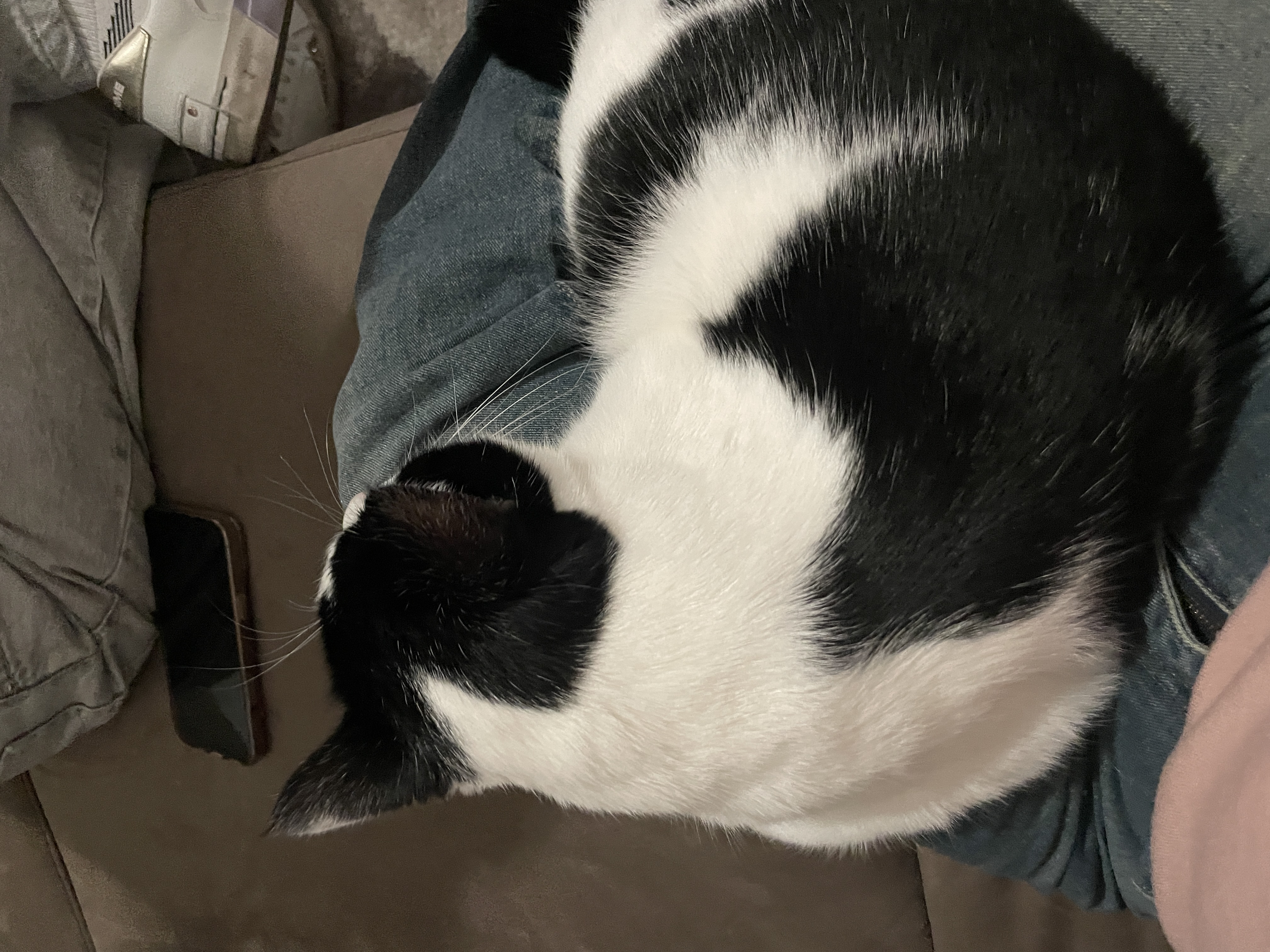 image-8