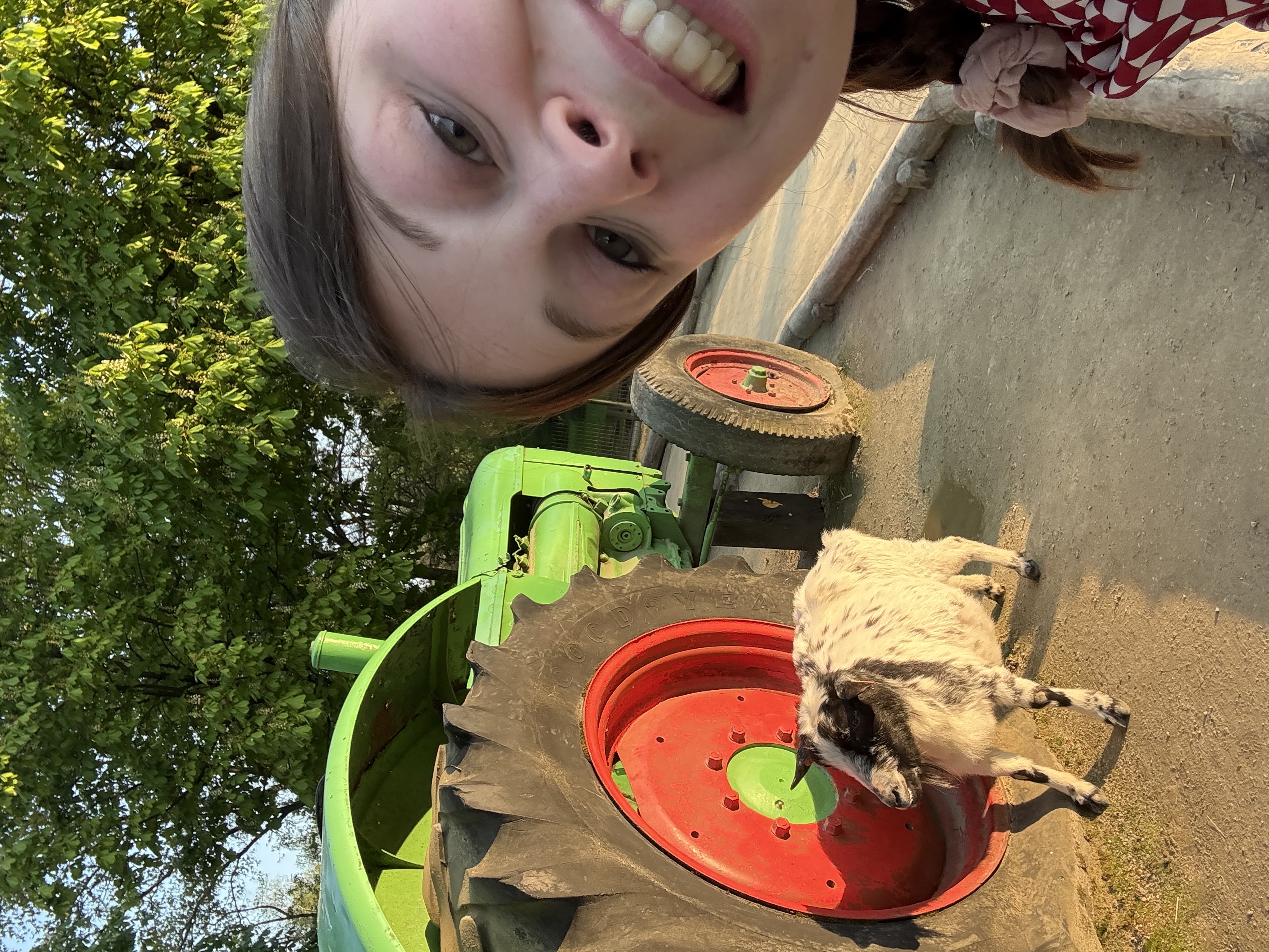 image-8