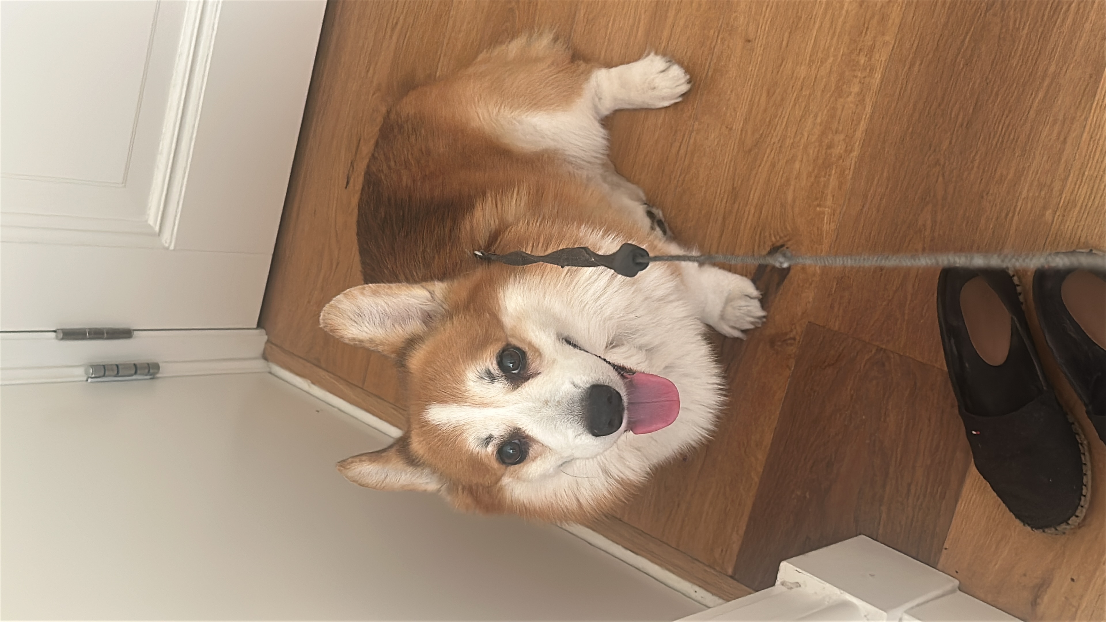 image-6