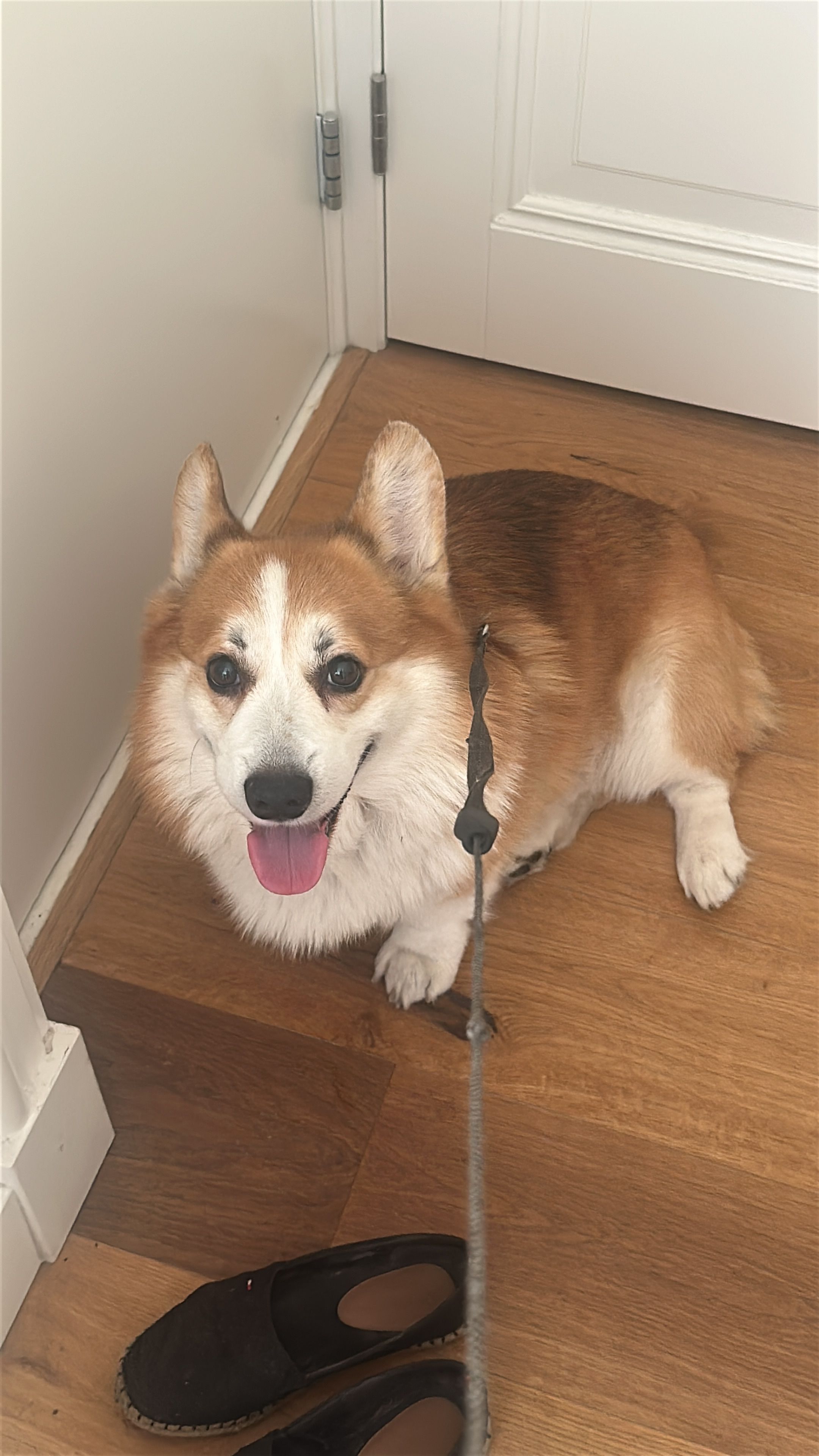 image-6