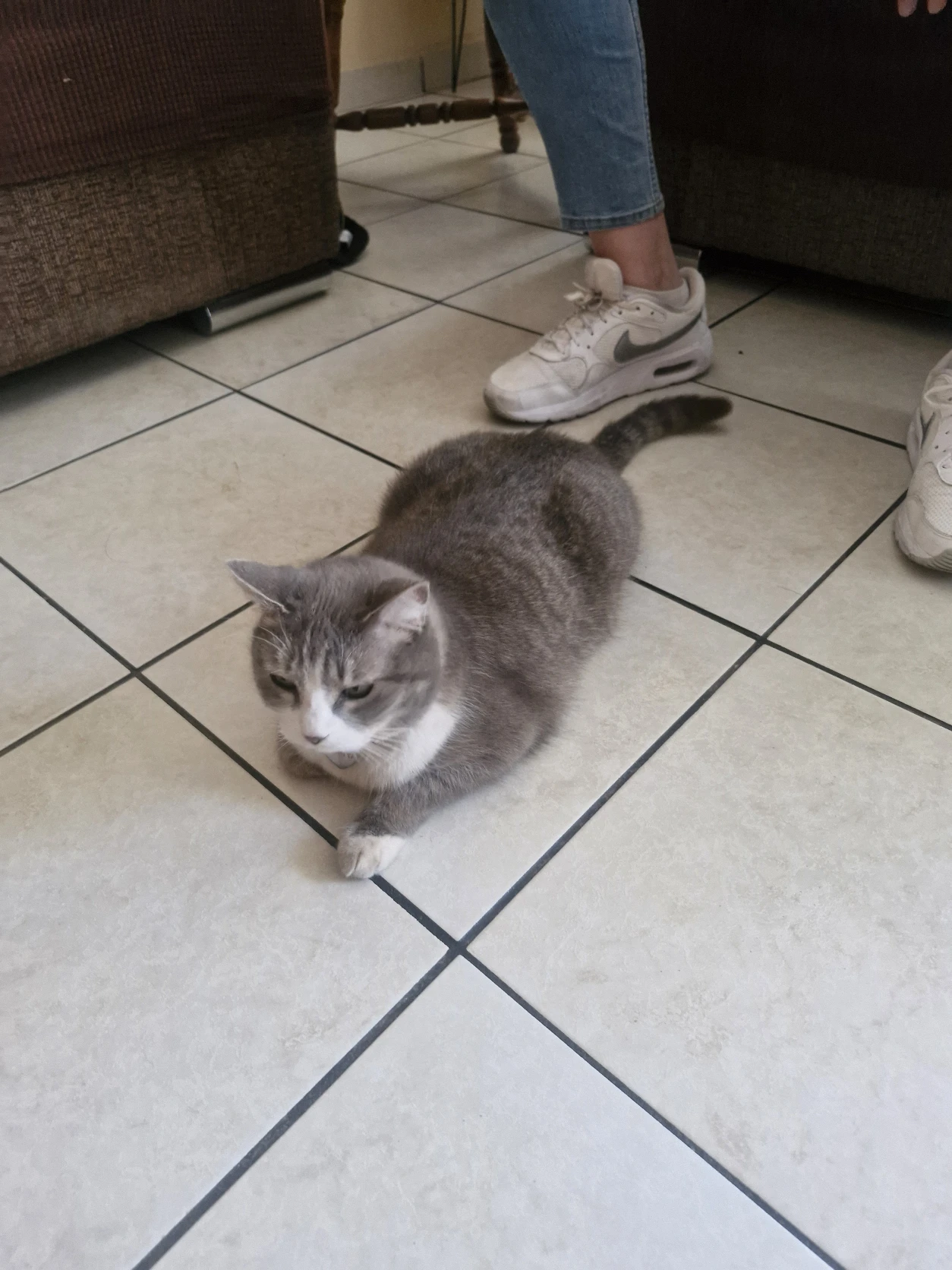 image-7