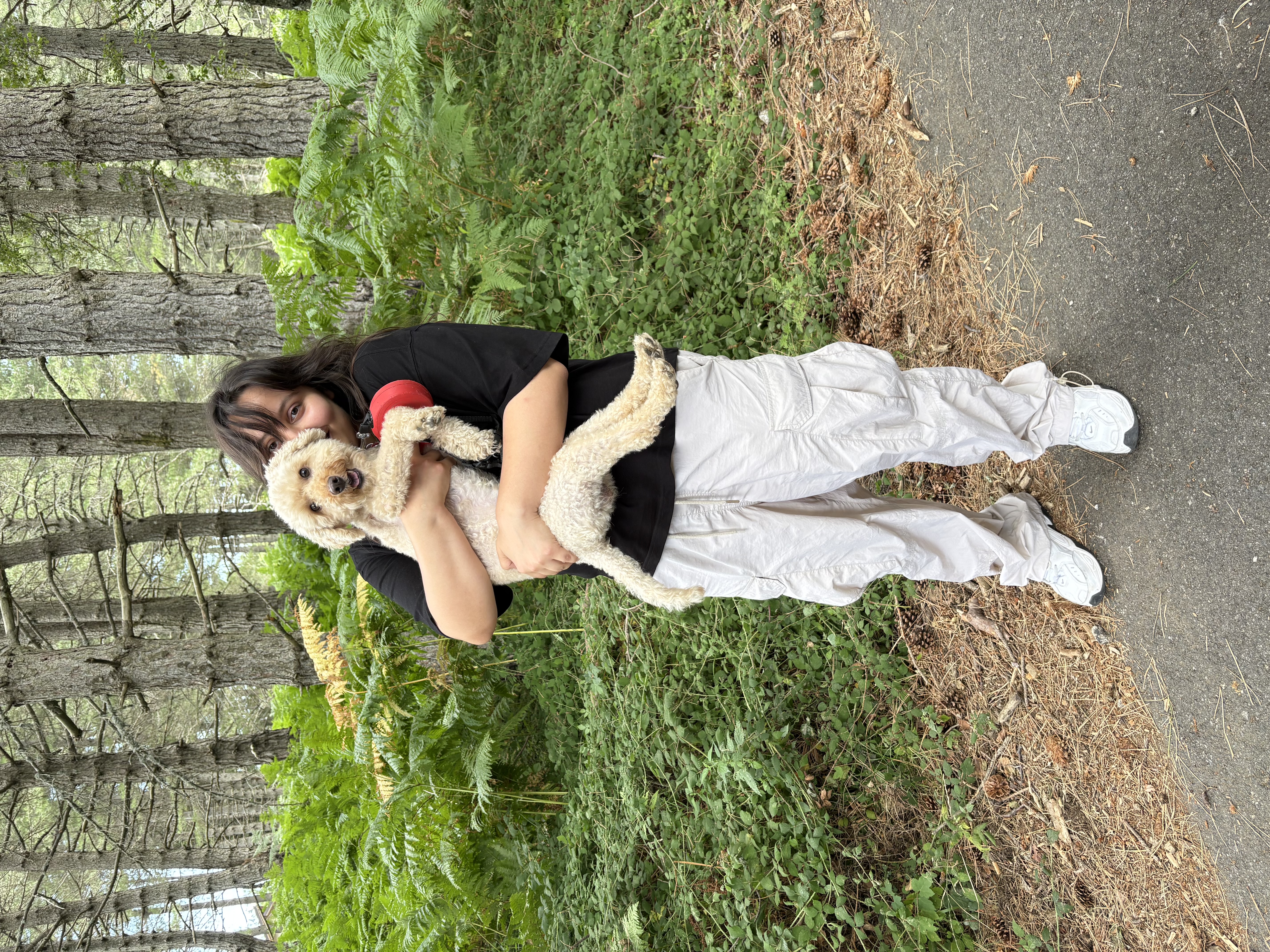 image-4