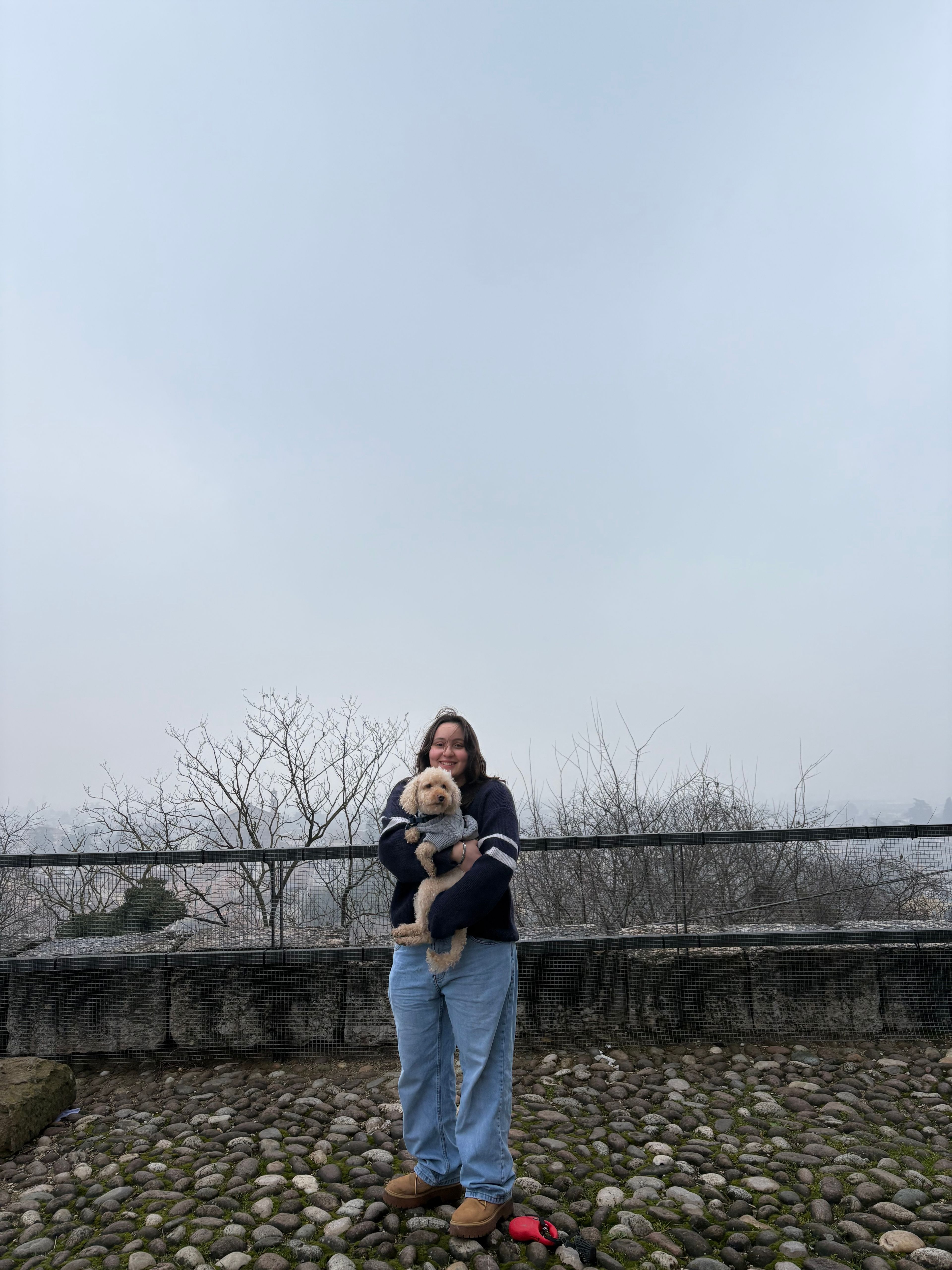 image-10