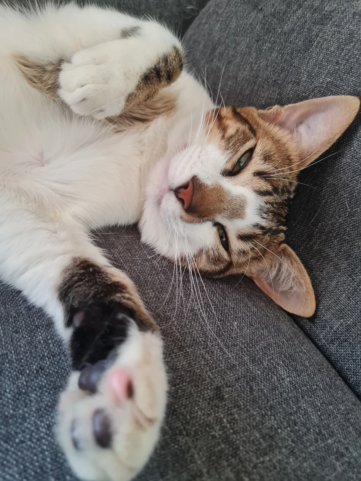image-15