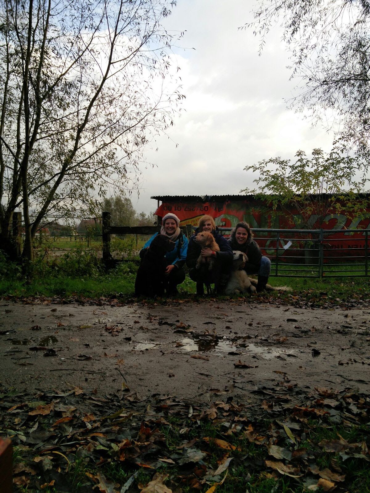 image-5