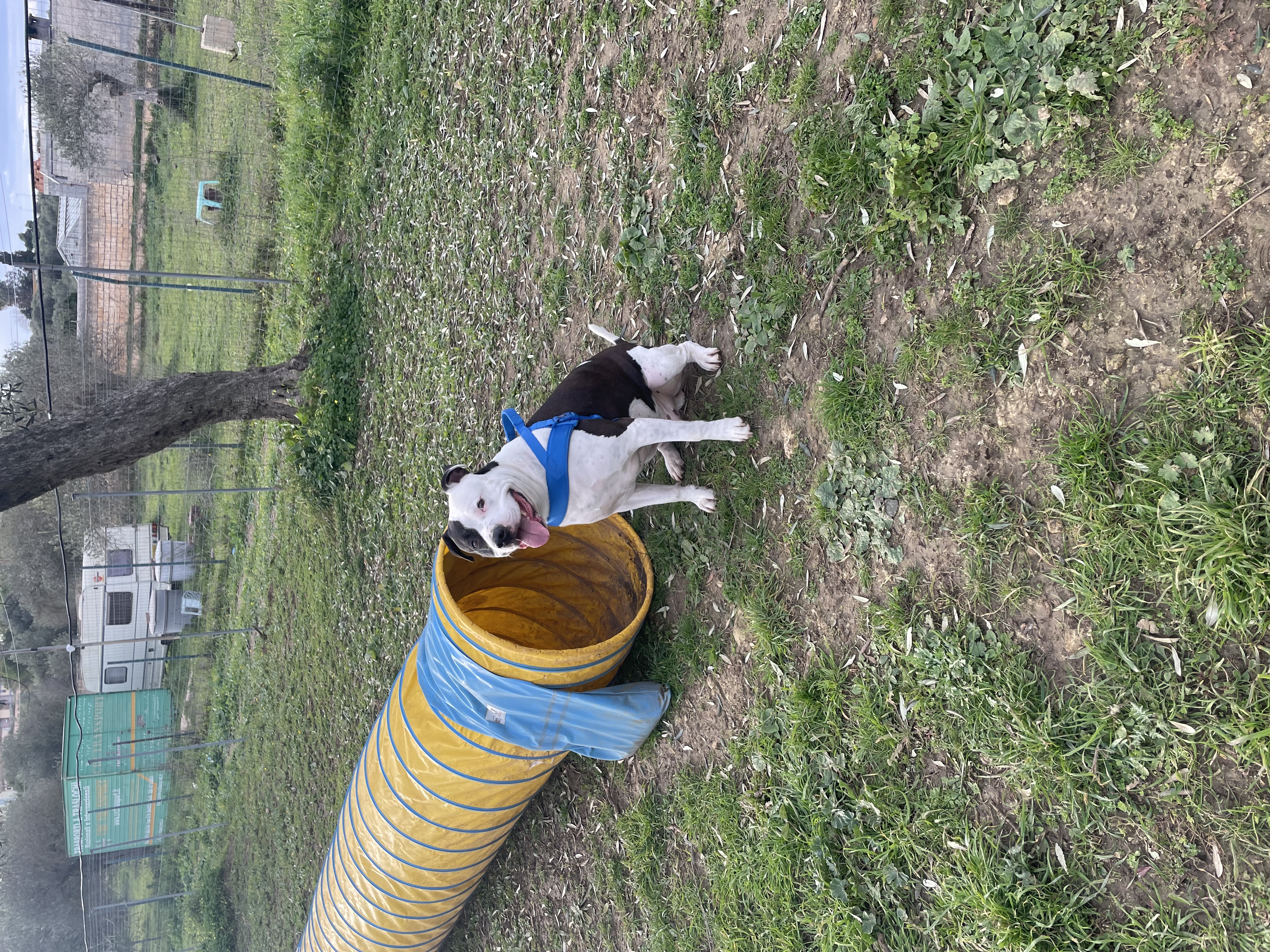 image-7