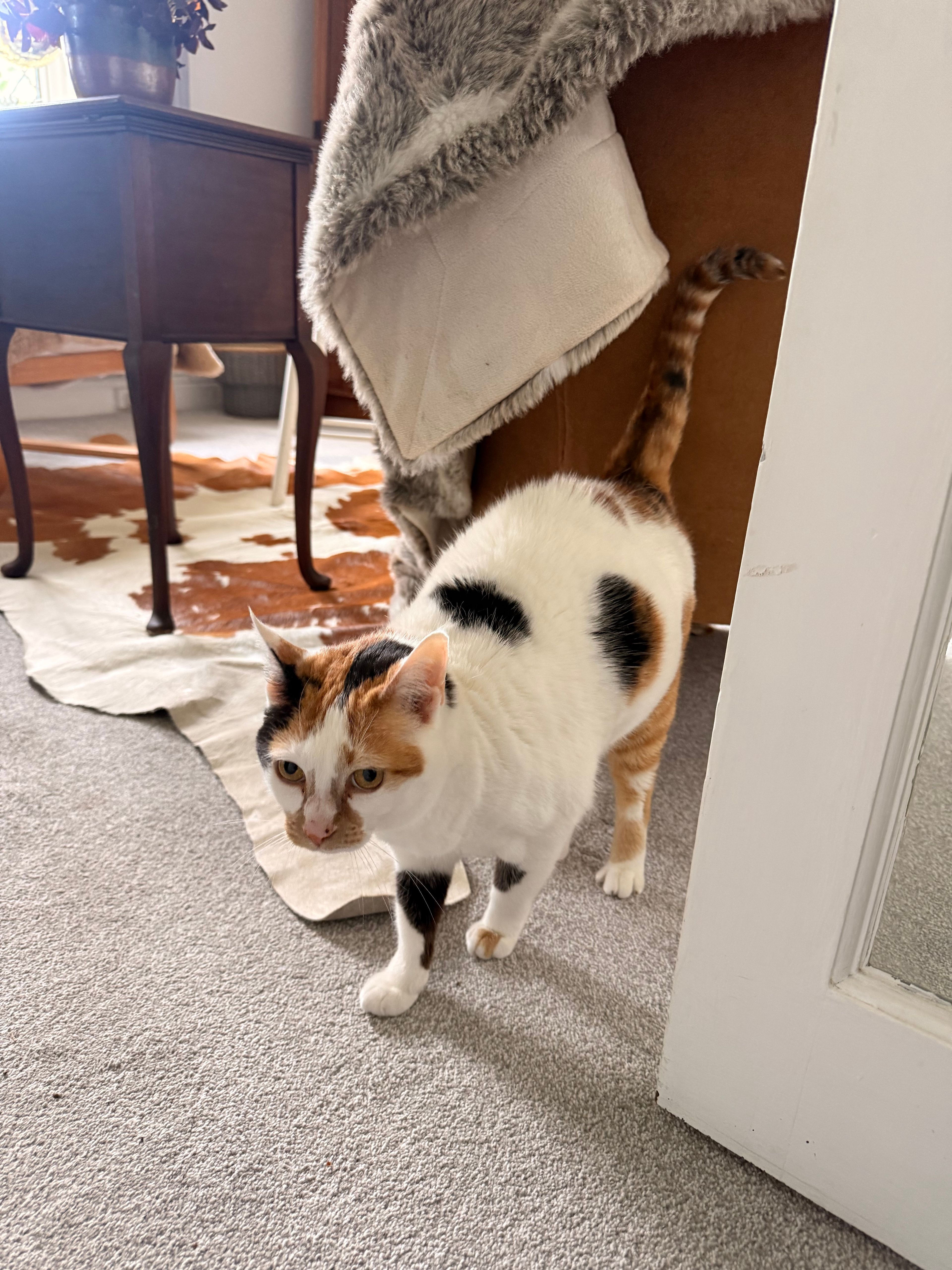 image-18