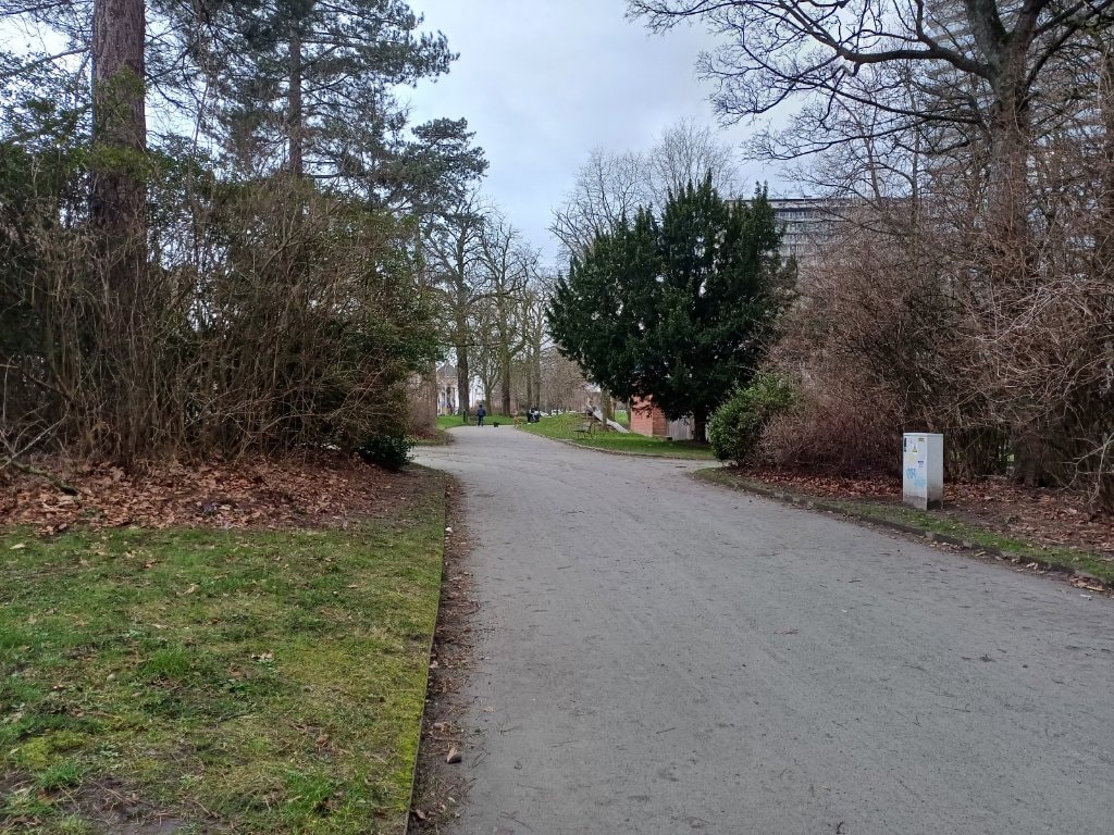 image-8