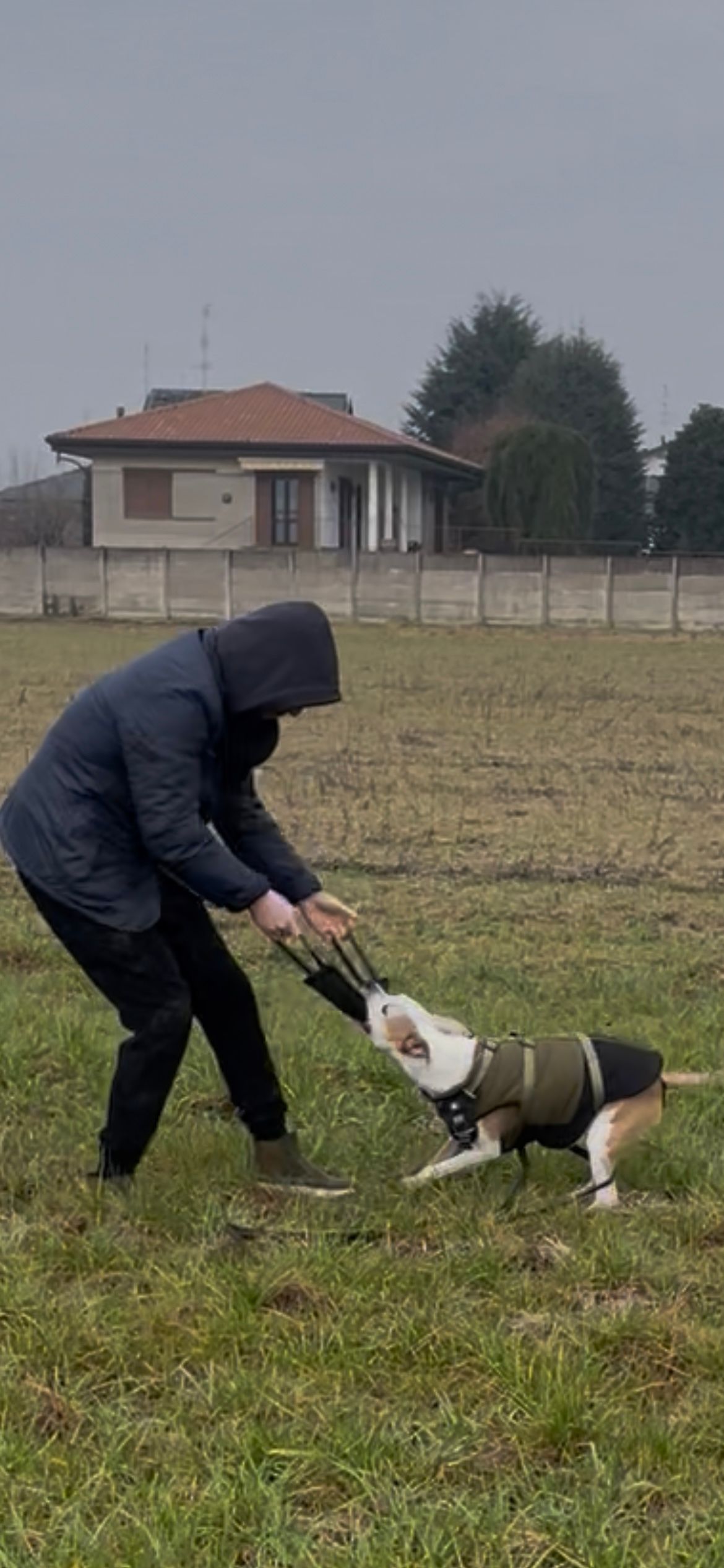 image-26