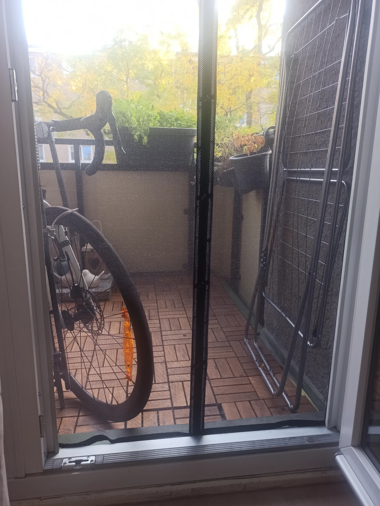 image-7