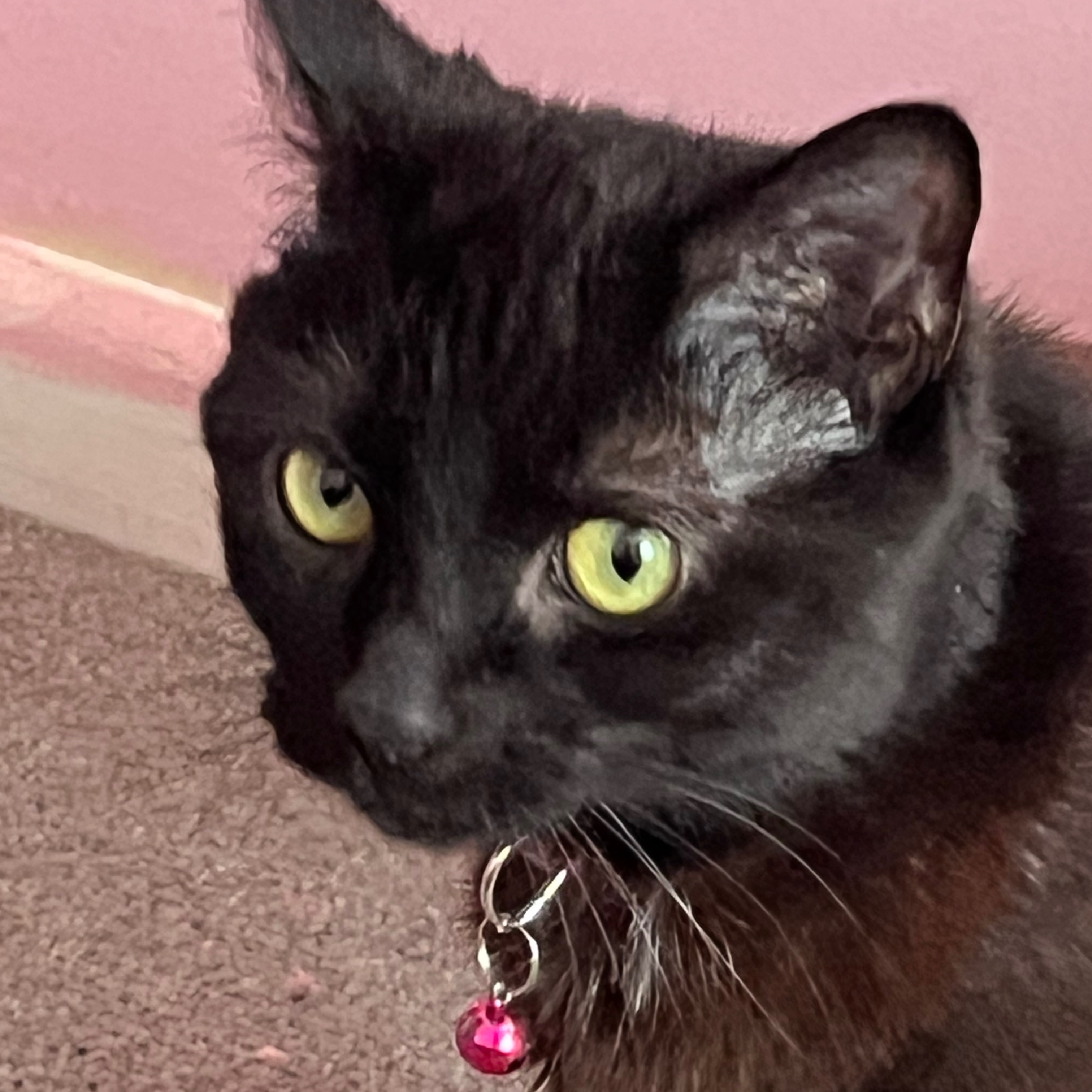 Luna