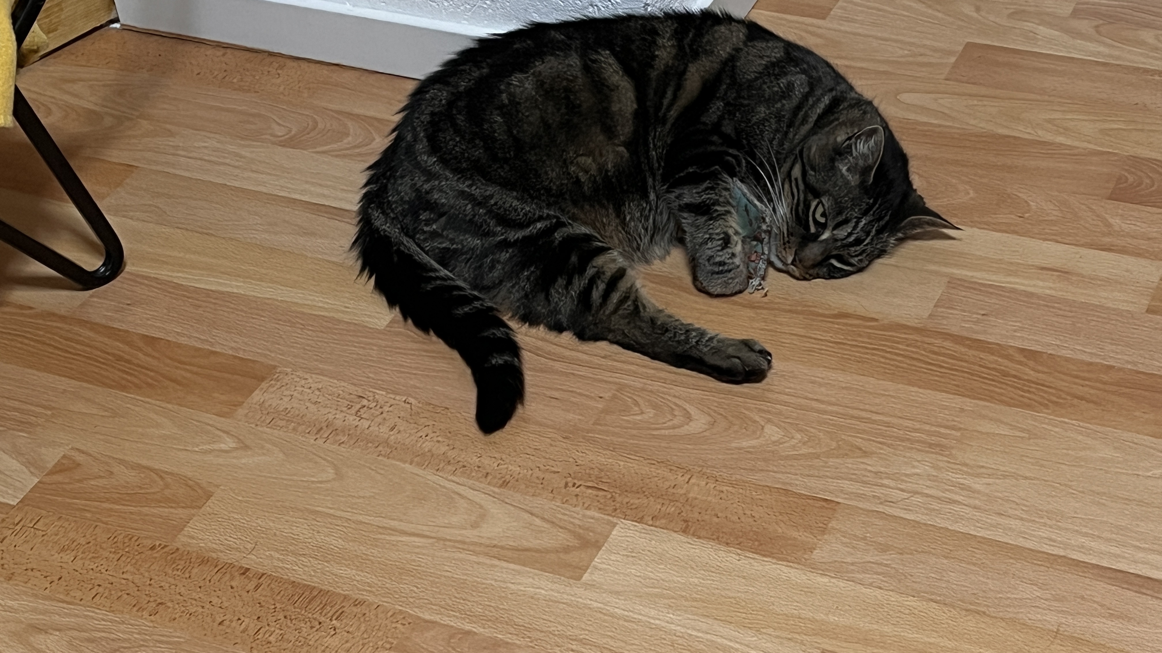image-12