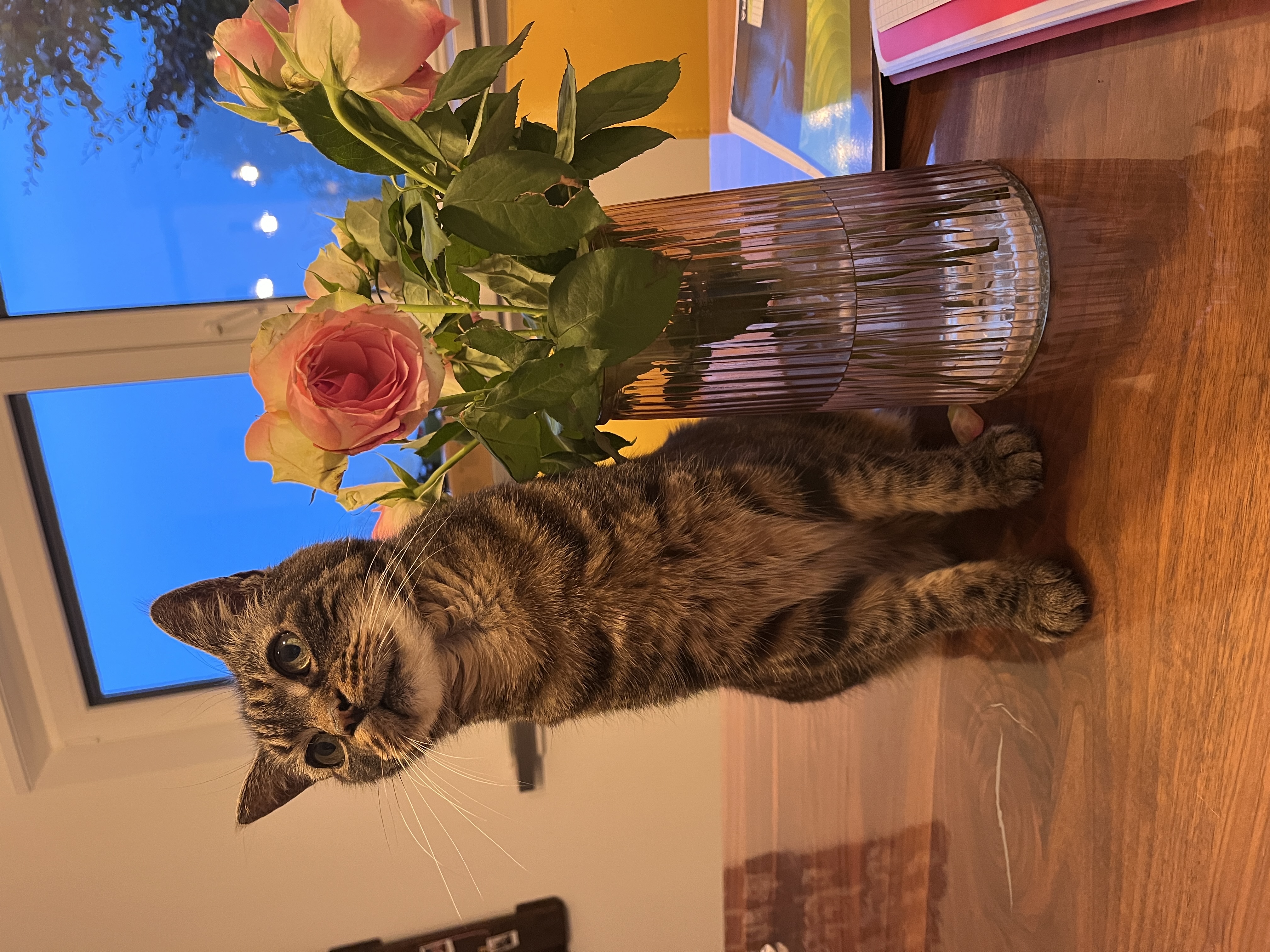image-7