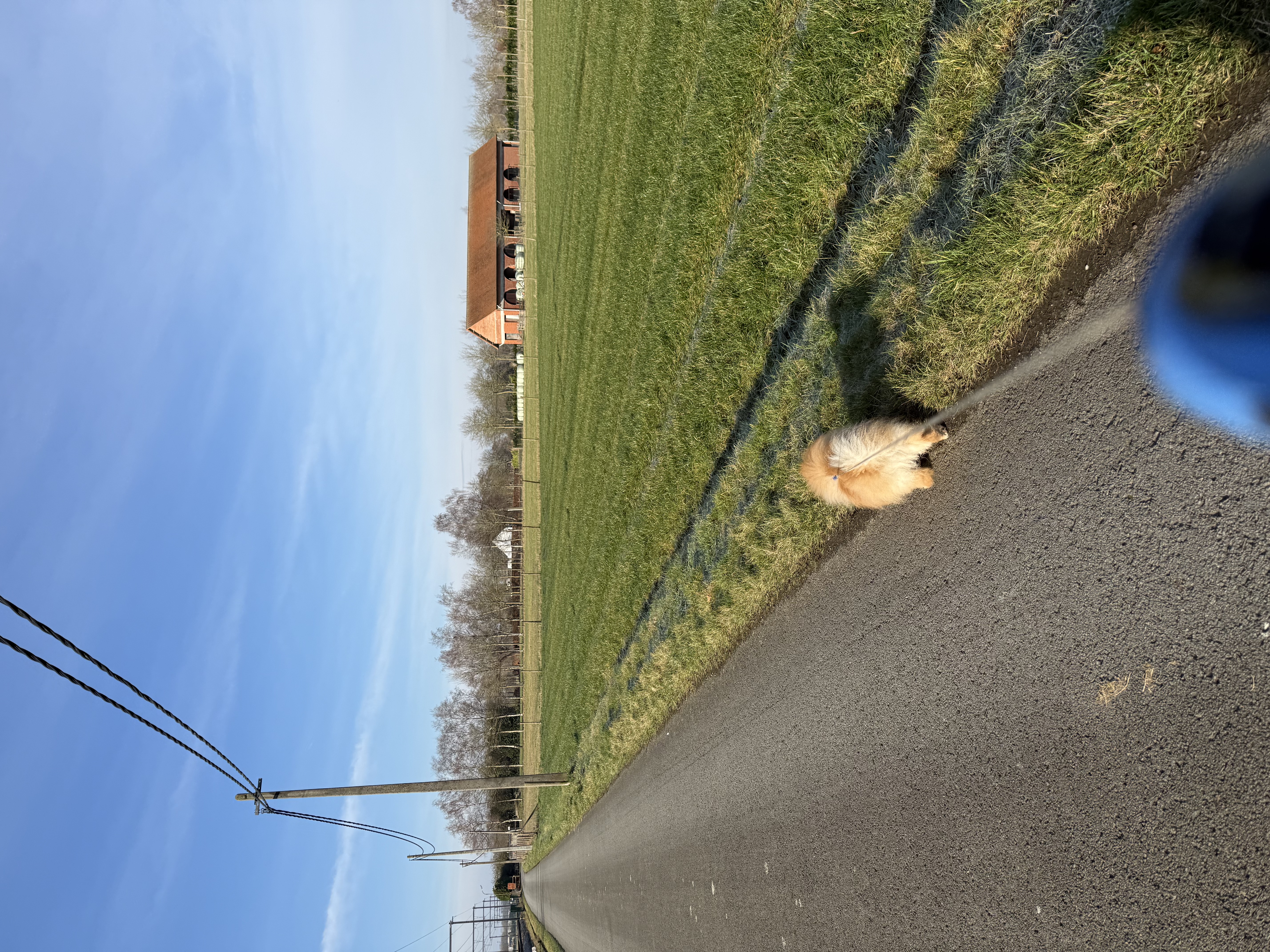 image-14