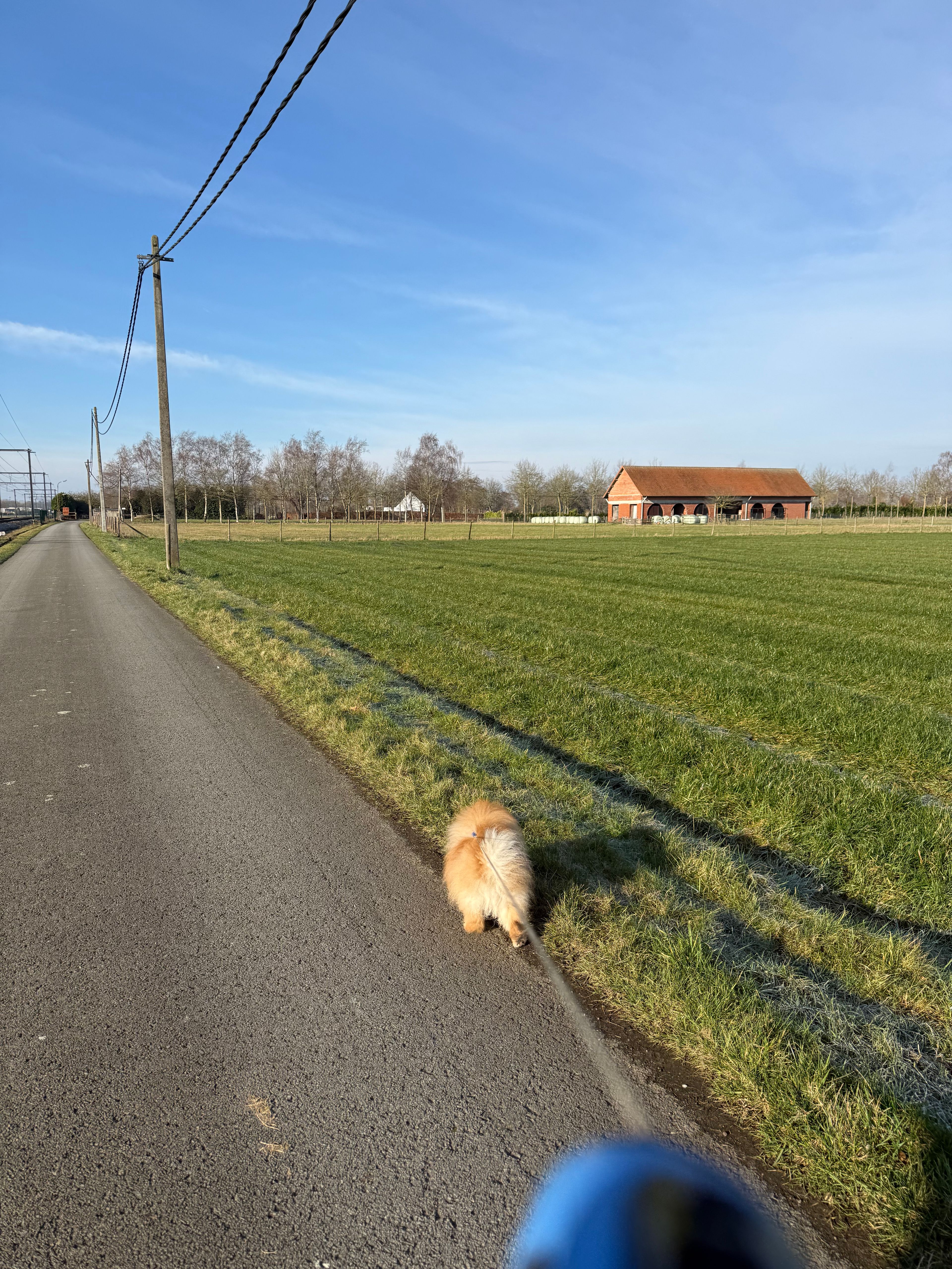 image-14