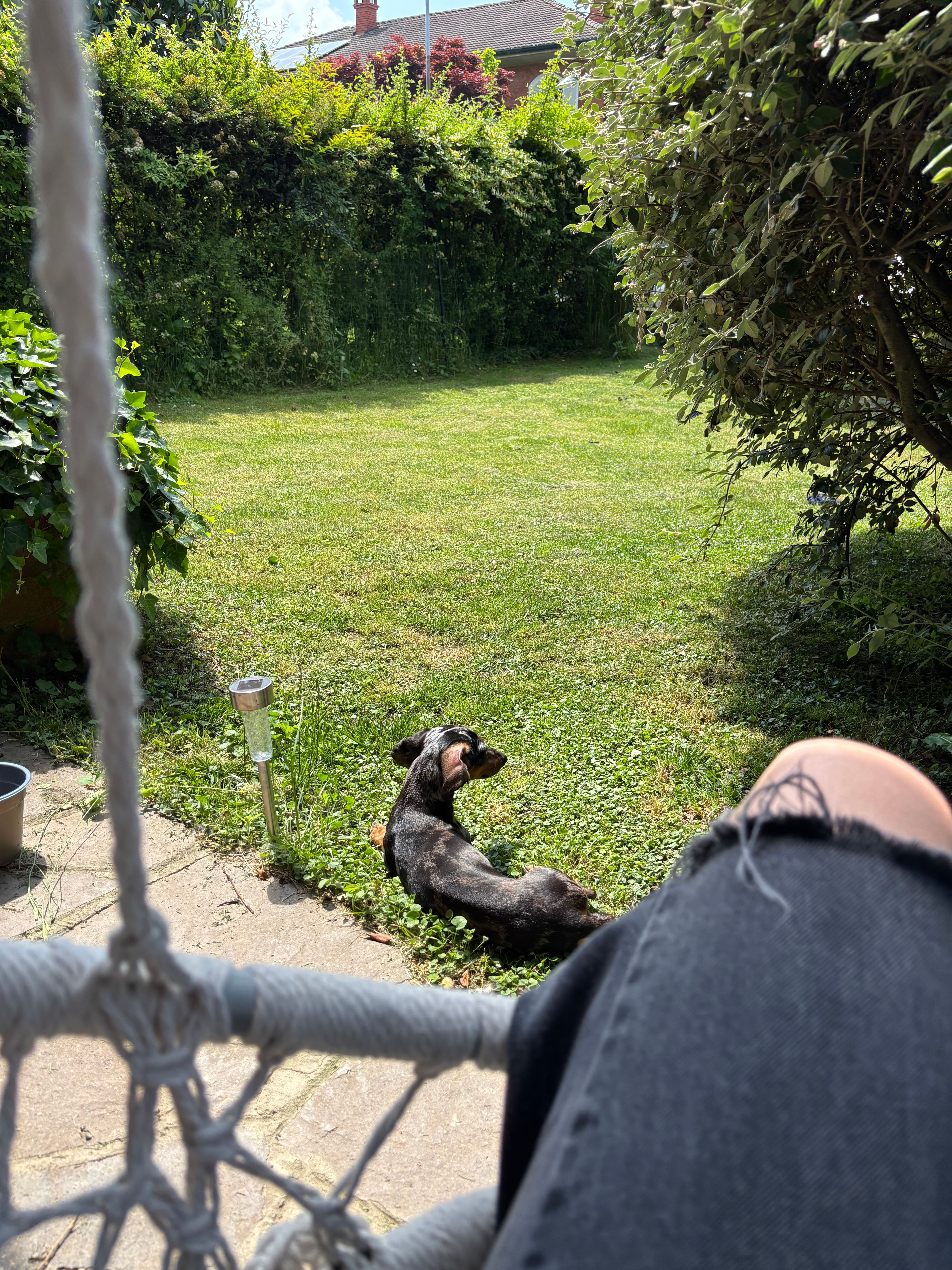 image-16