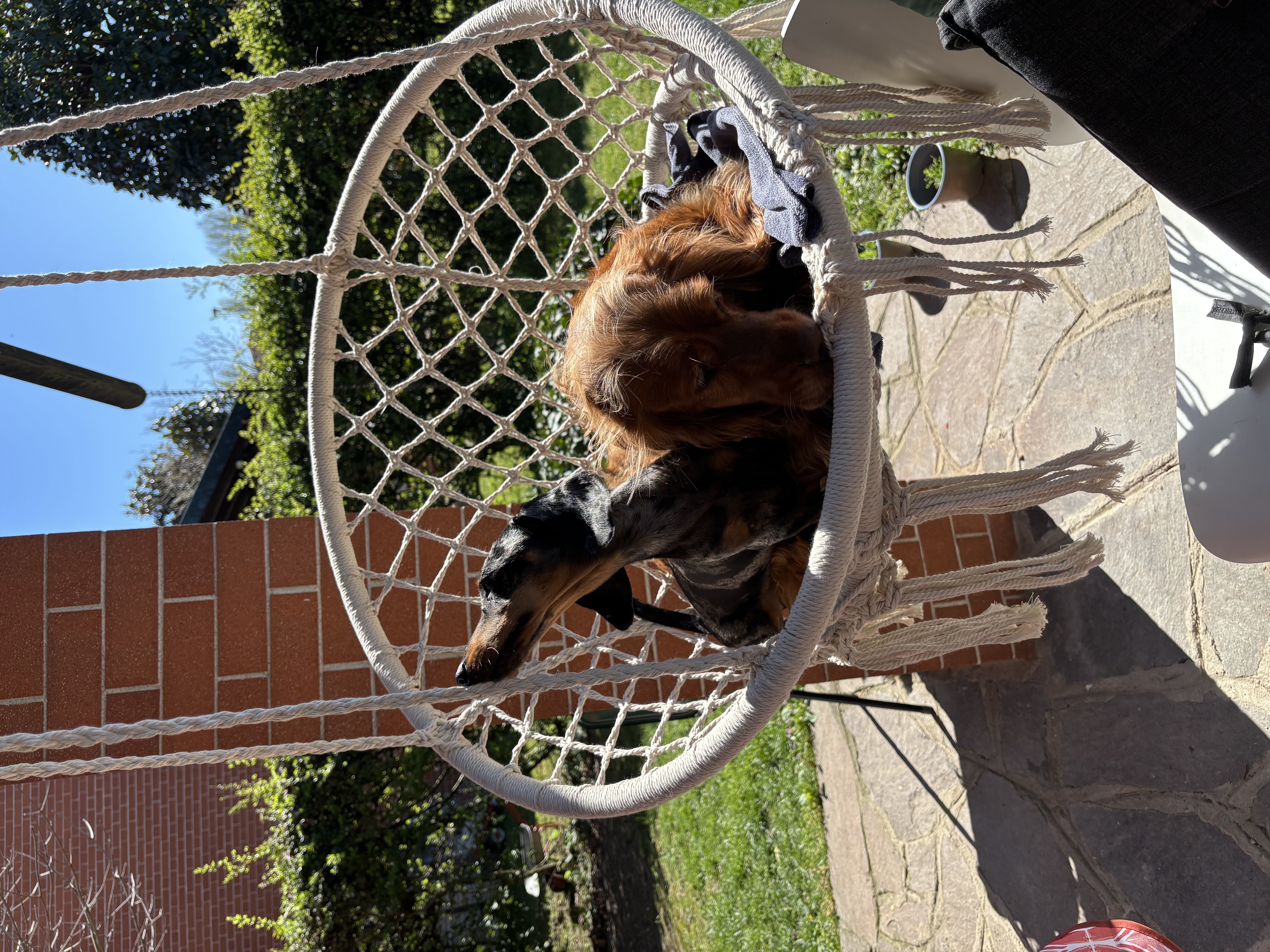 image-7
