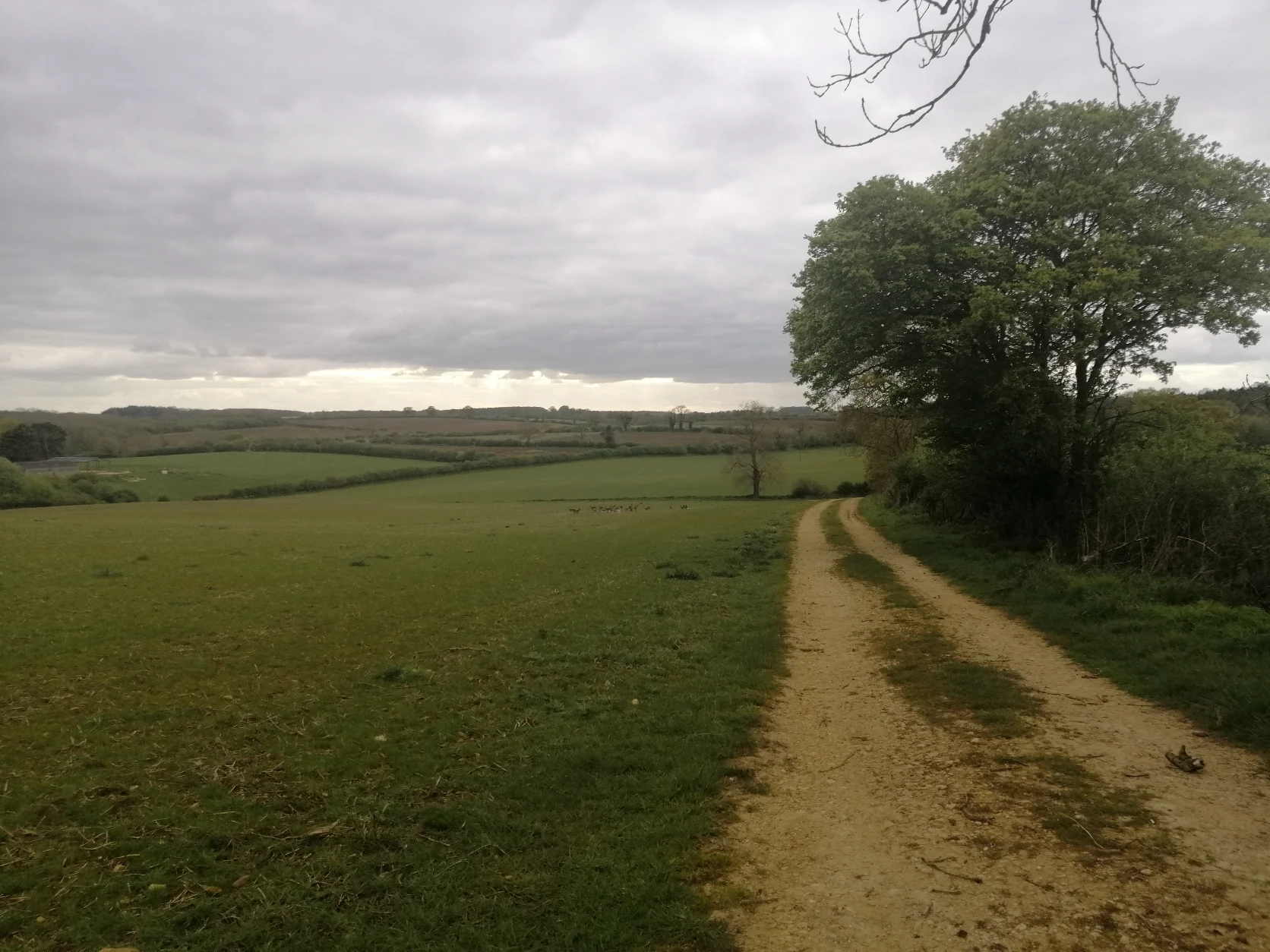 image-10