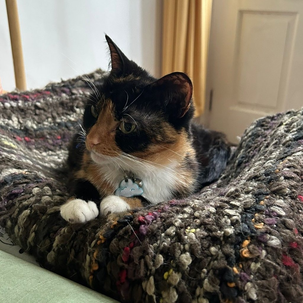 Penny