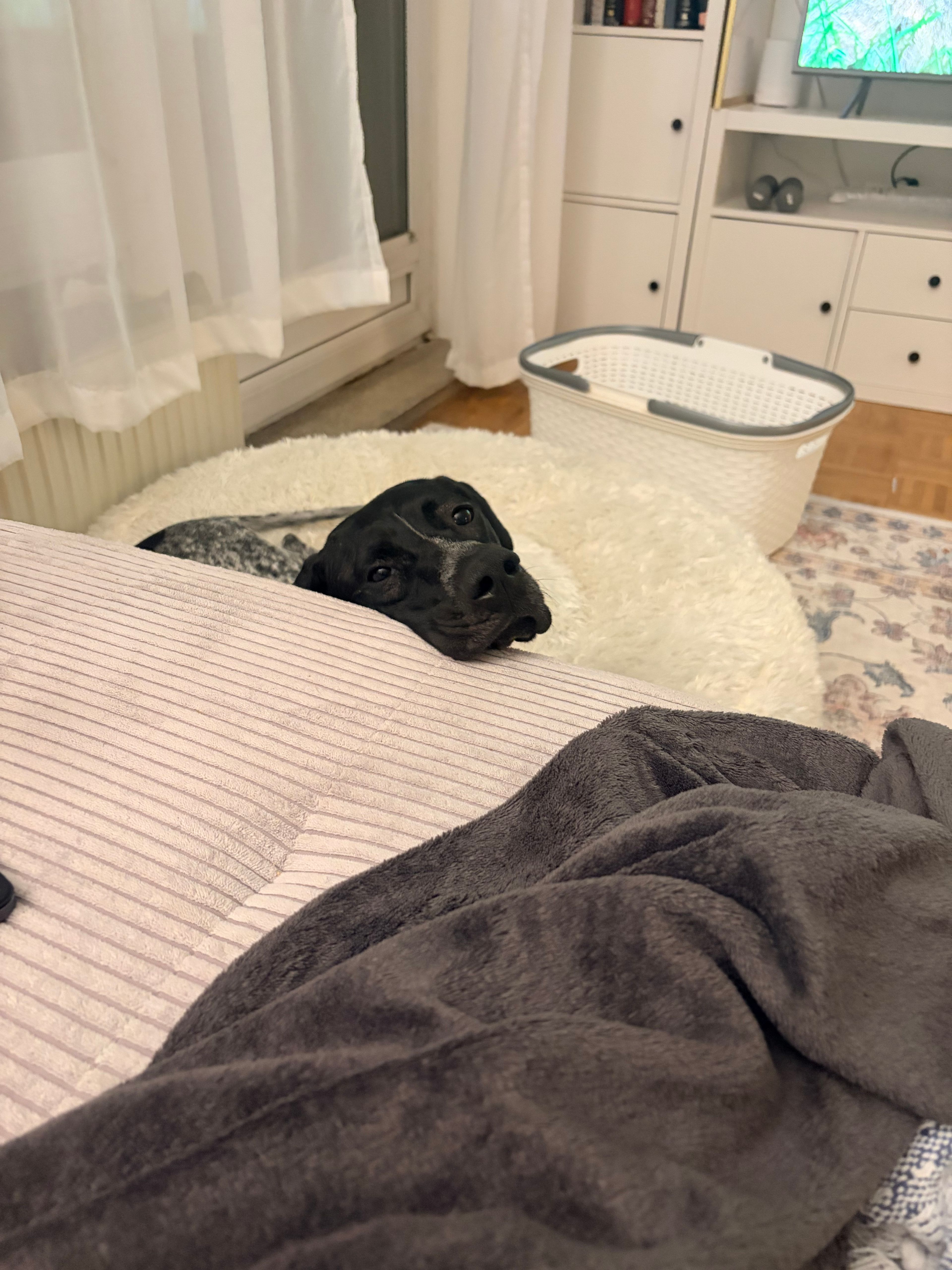 image-18