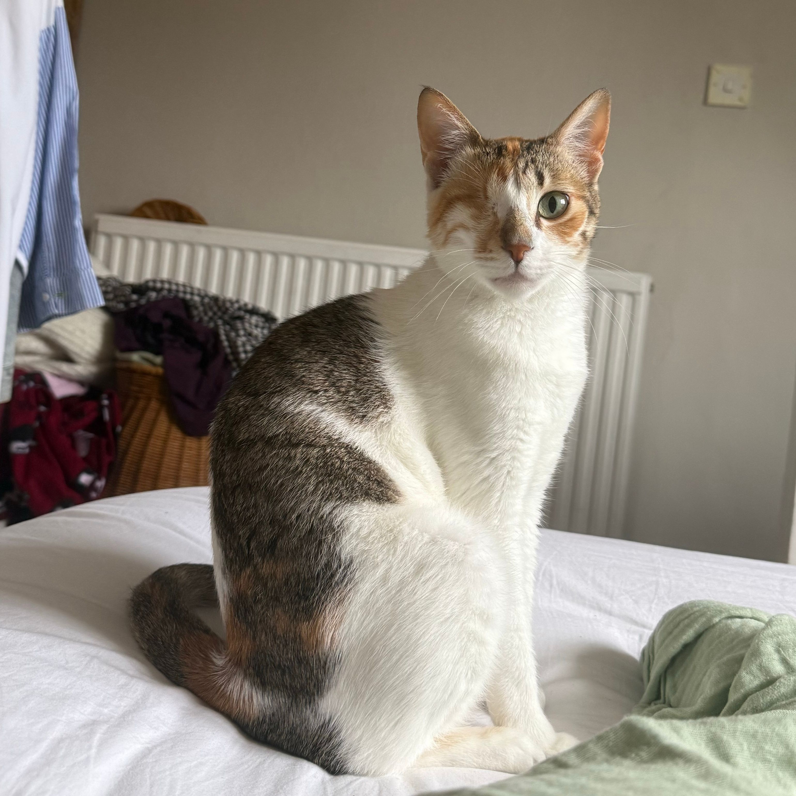 Leela