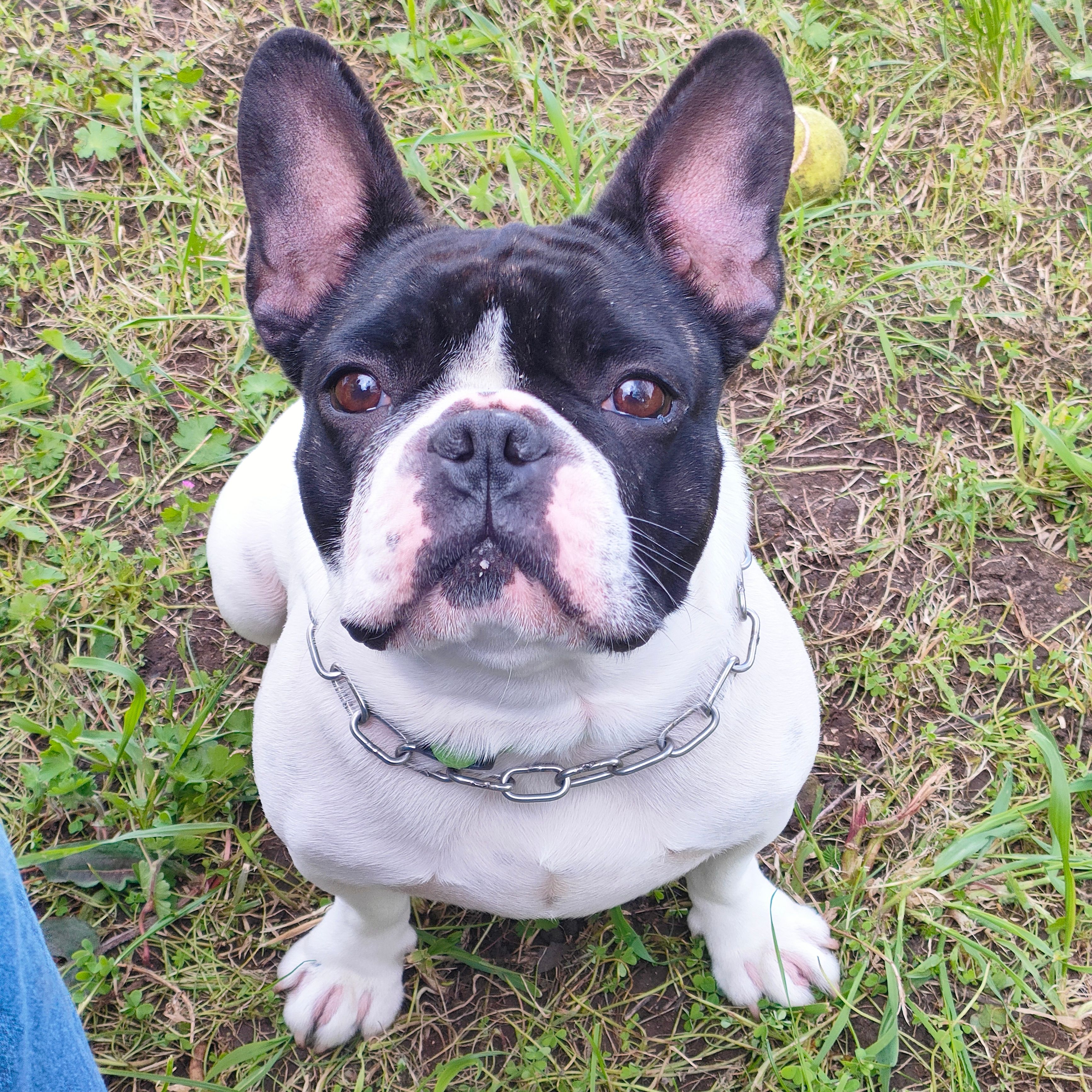 Peter