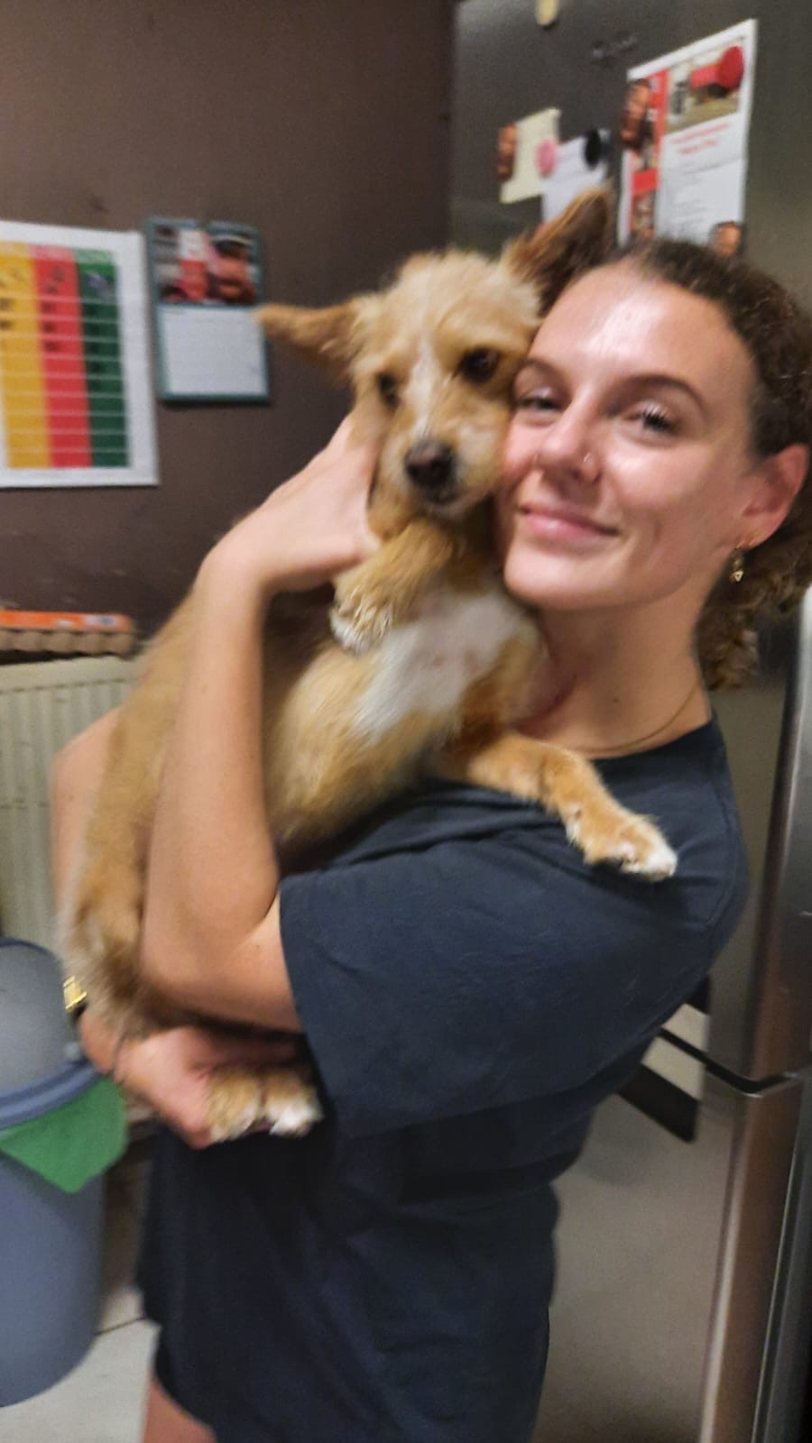 image-6