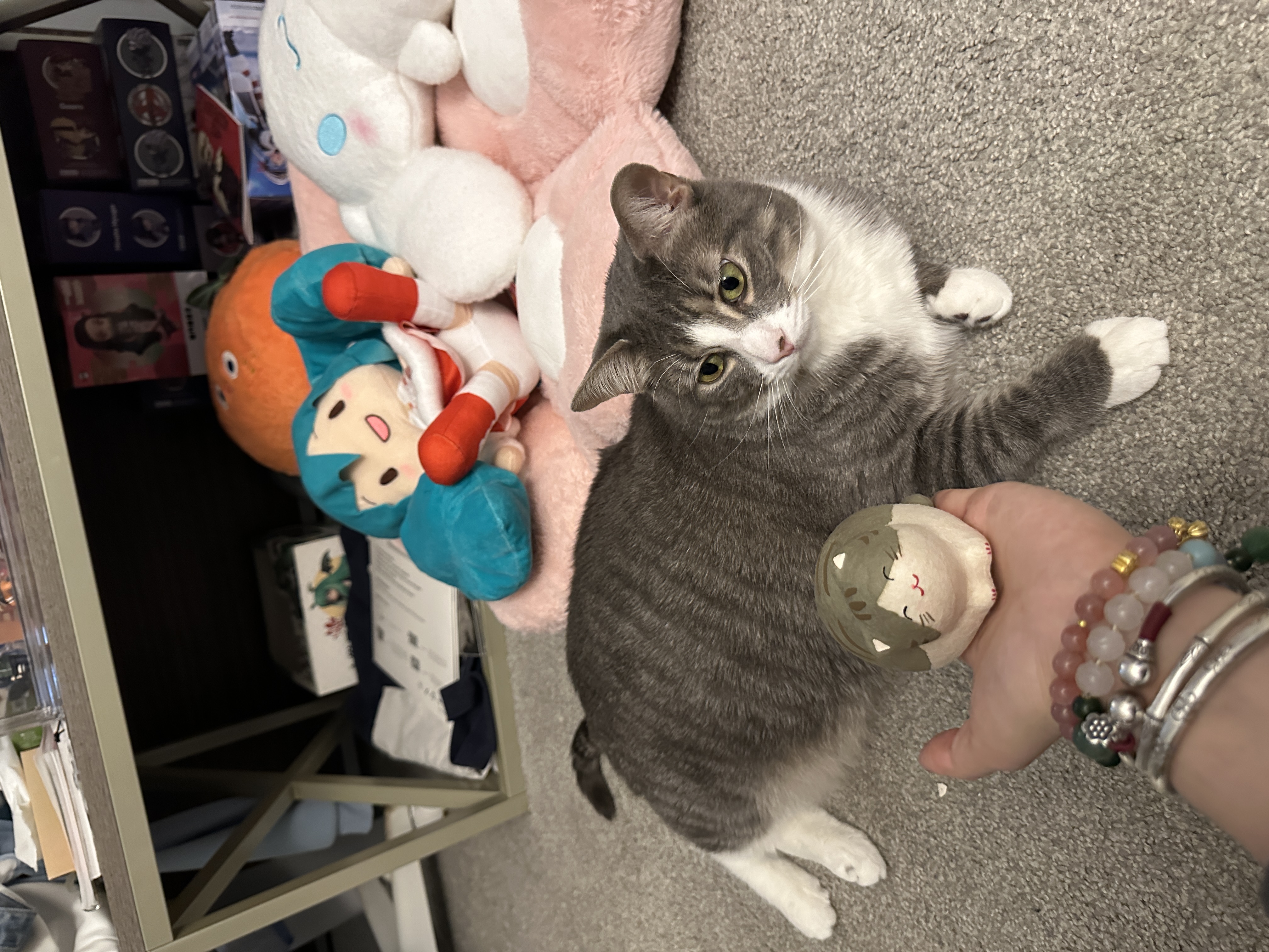 image-9