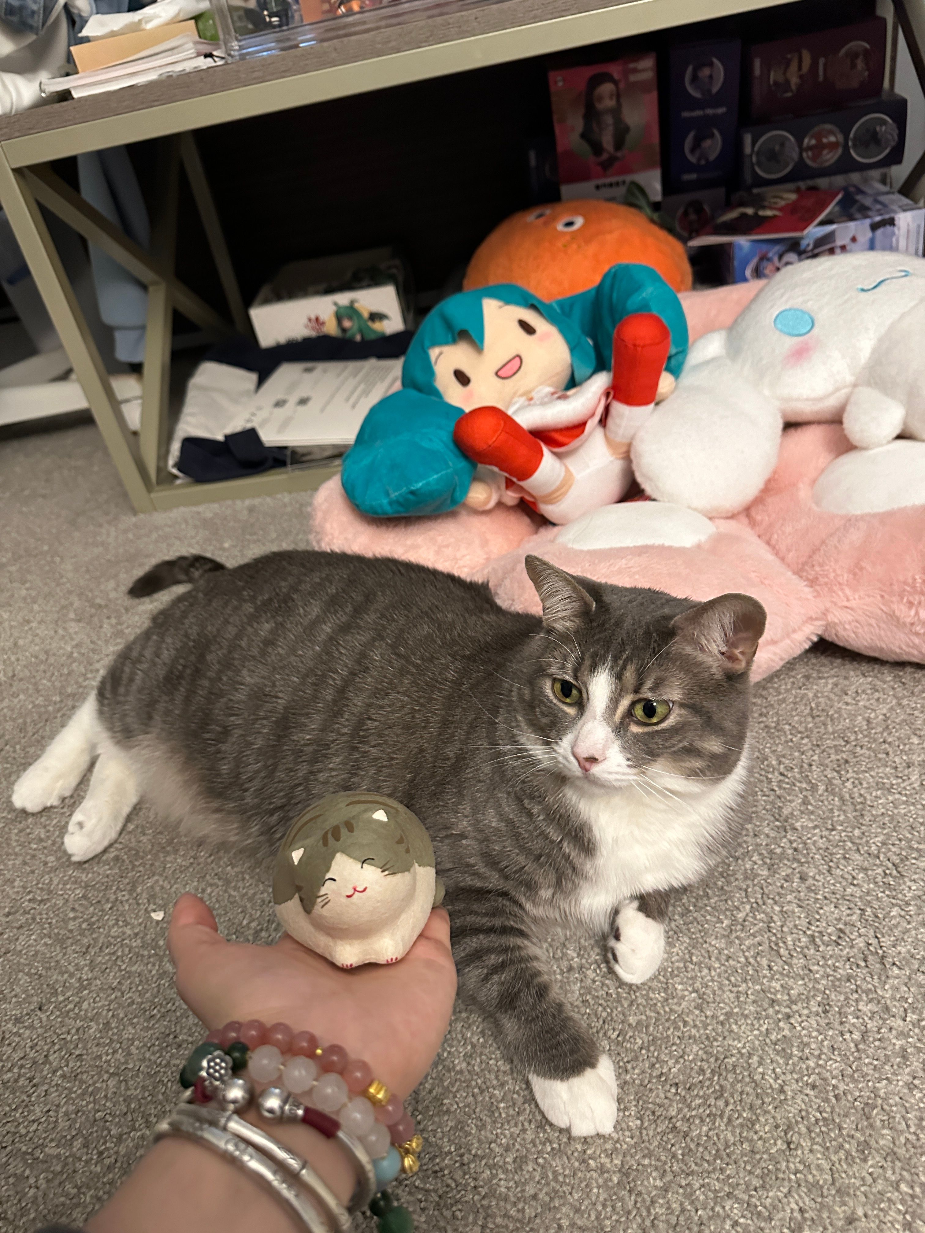 image-9