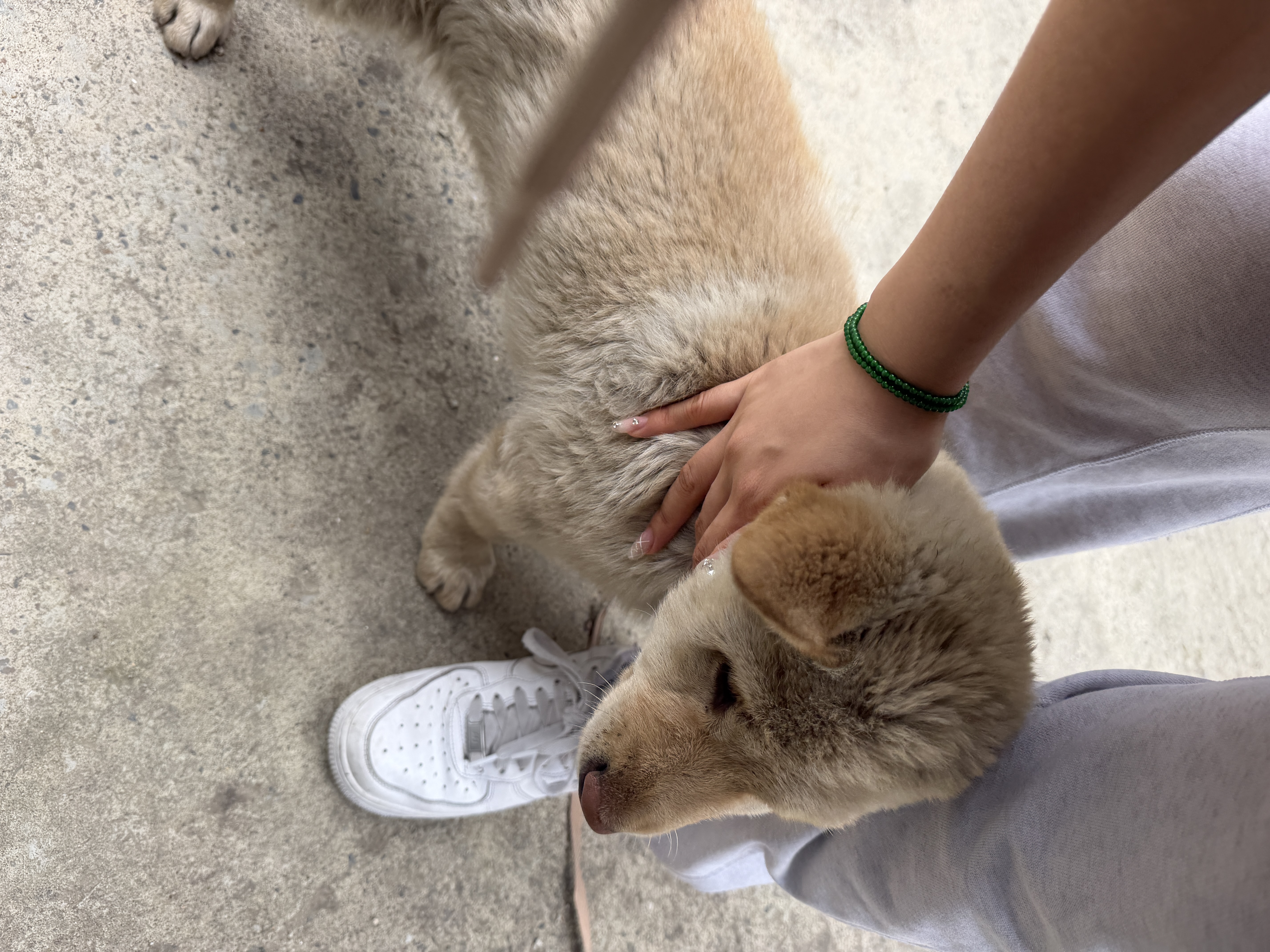image-6