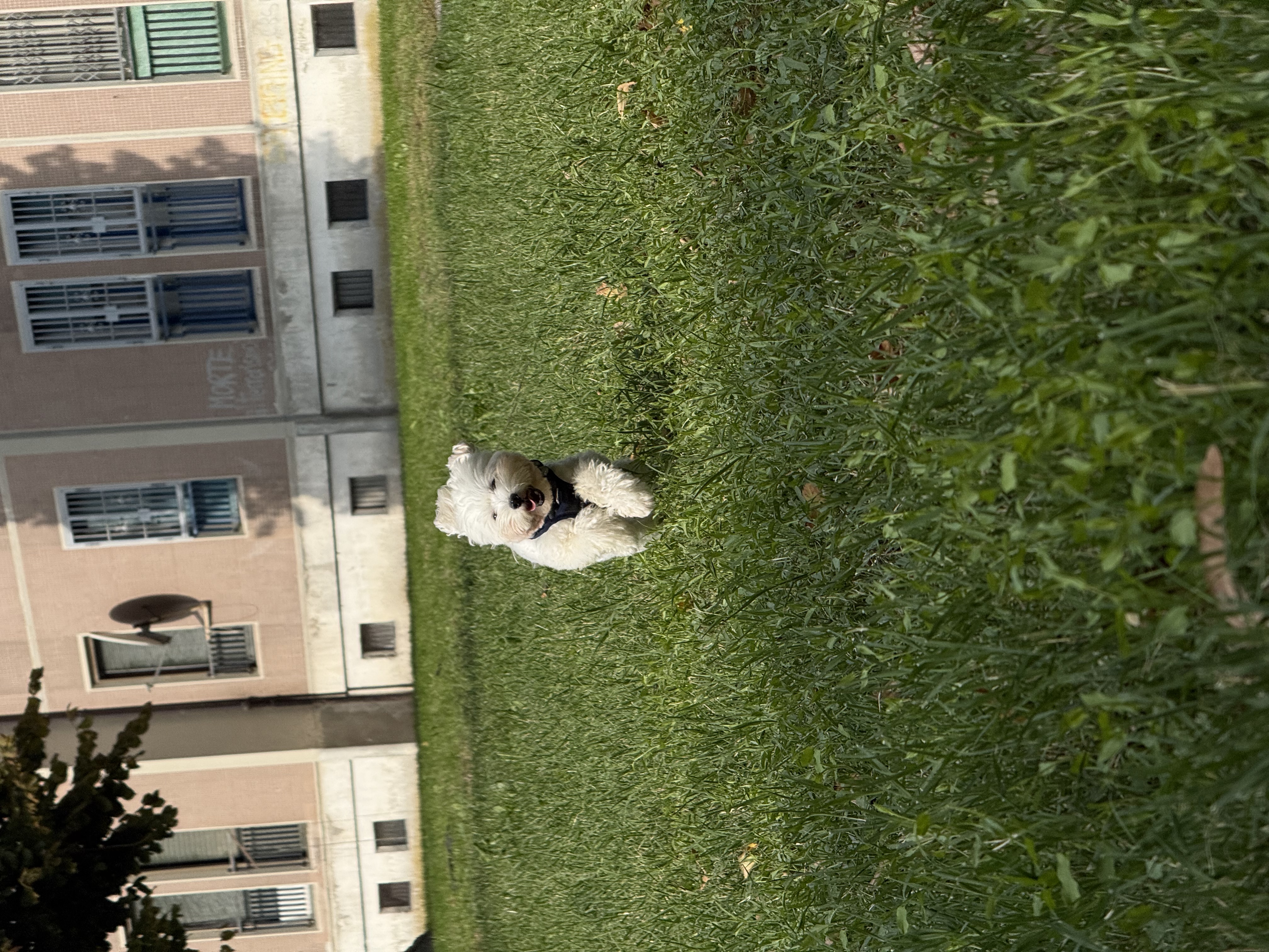 image-8