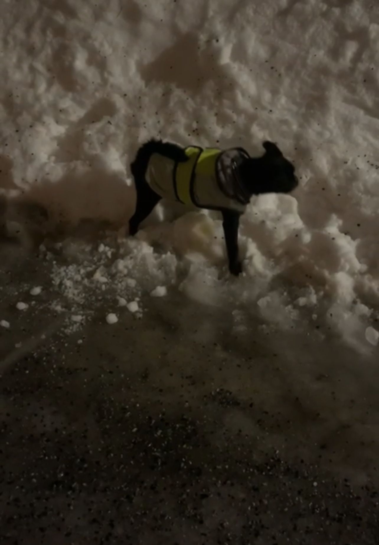 image-9