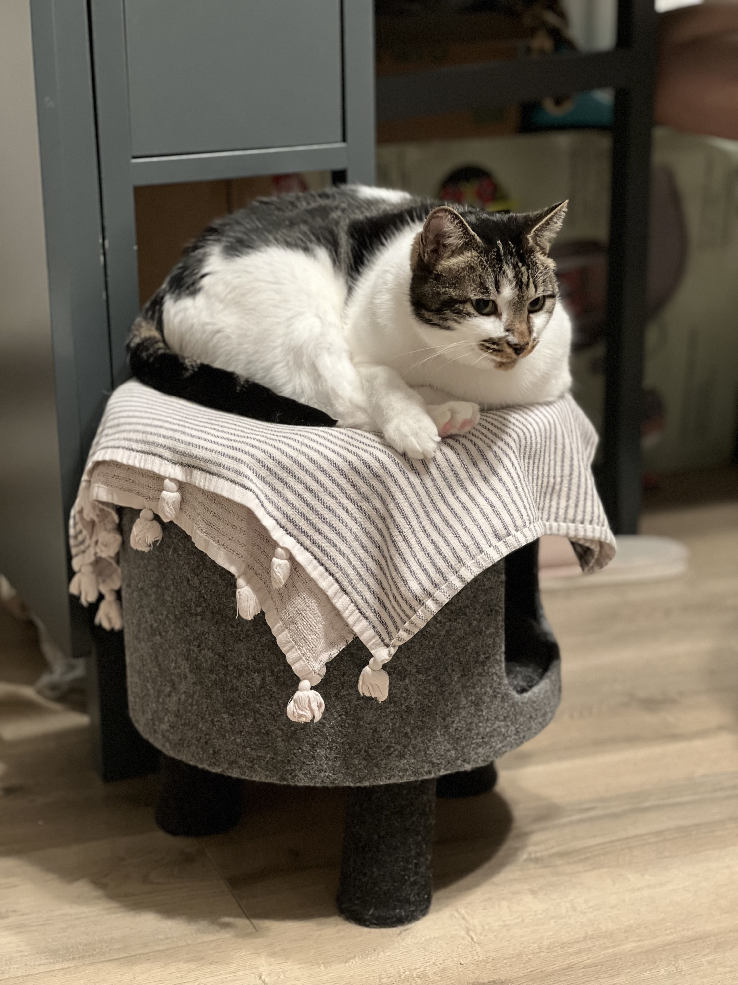 image-9