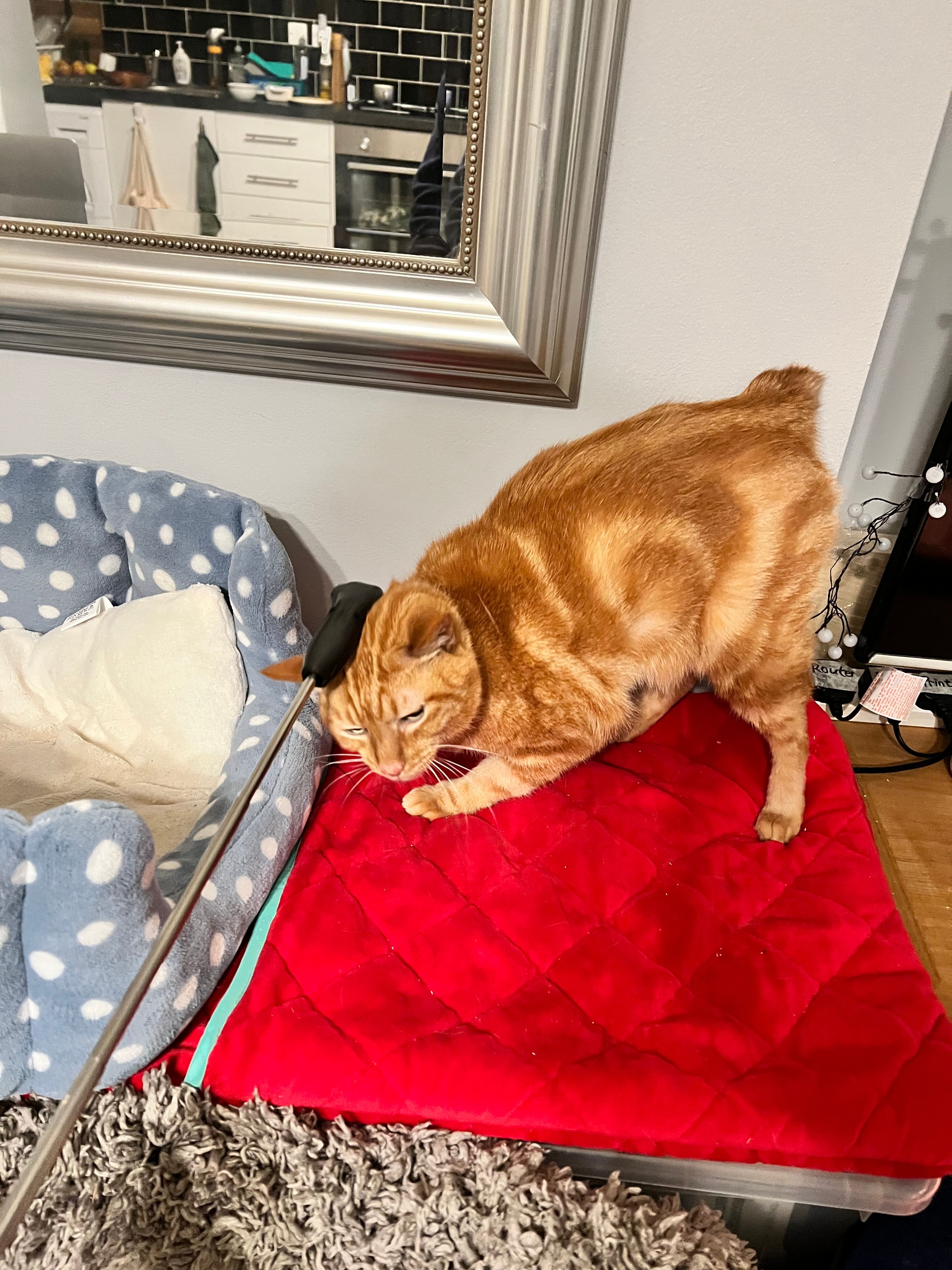 image-18