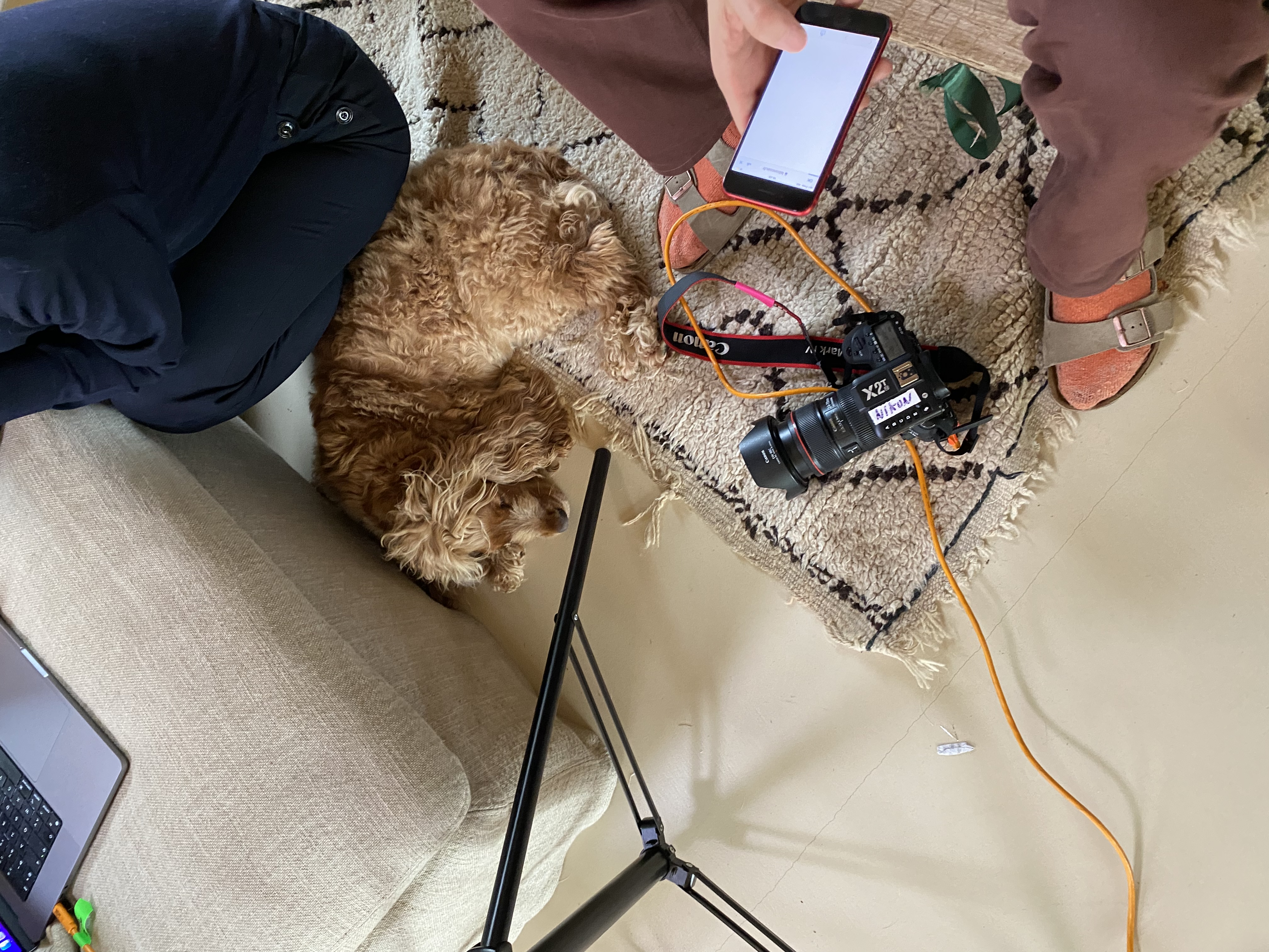 image-7
