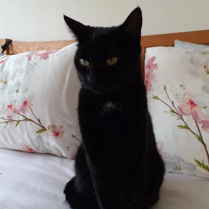 Luna