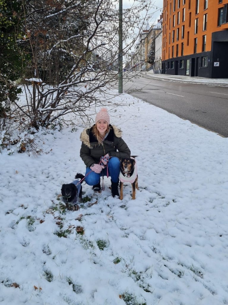 image-6