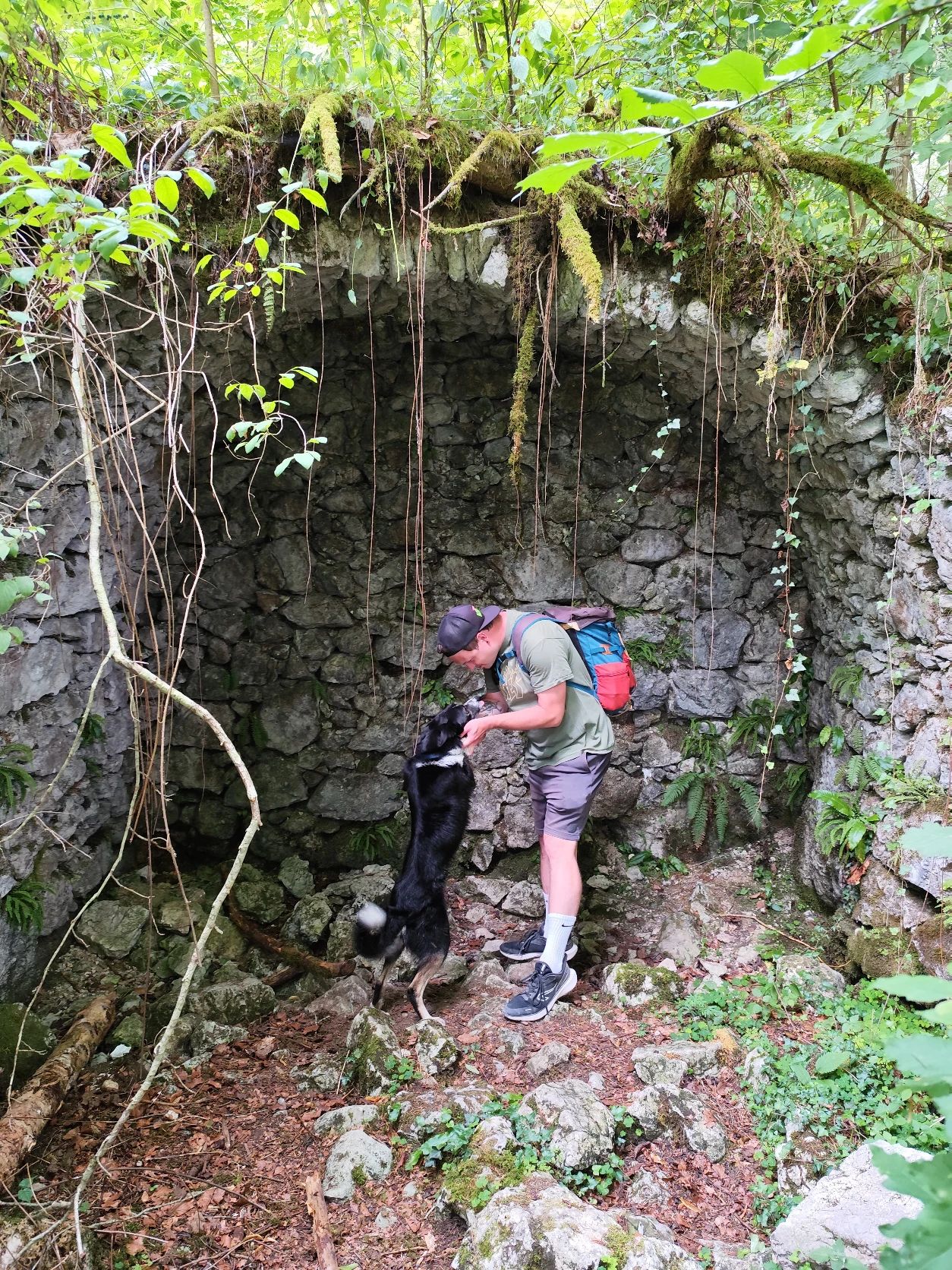 image-1
