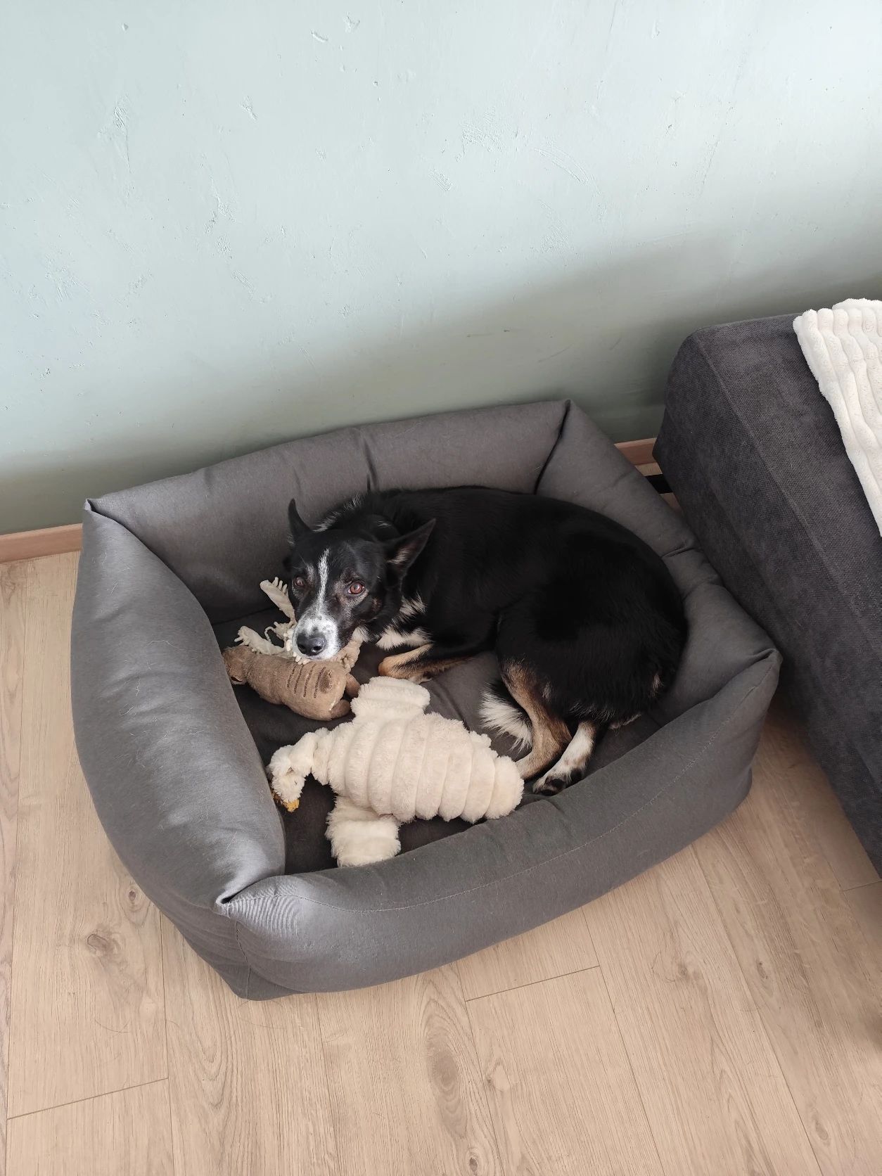 image-10