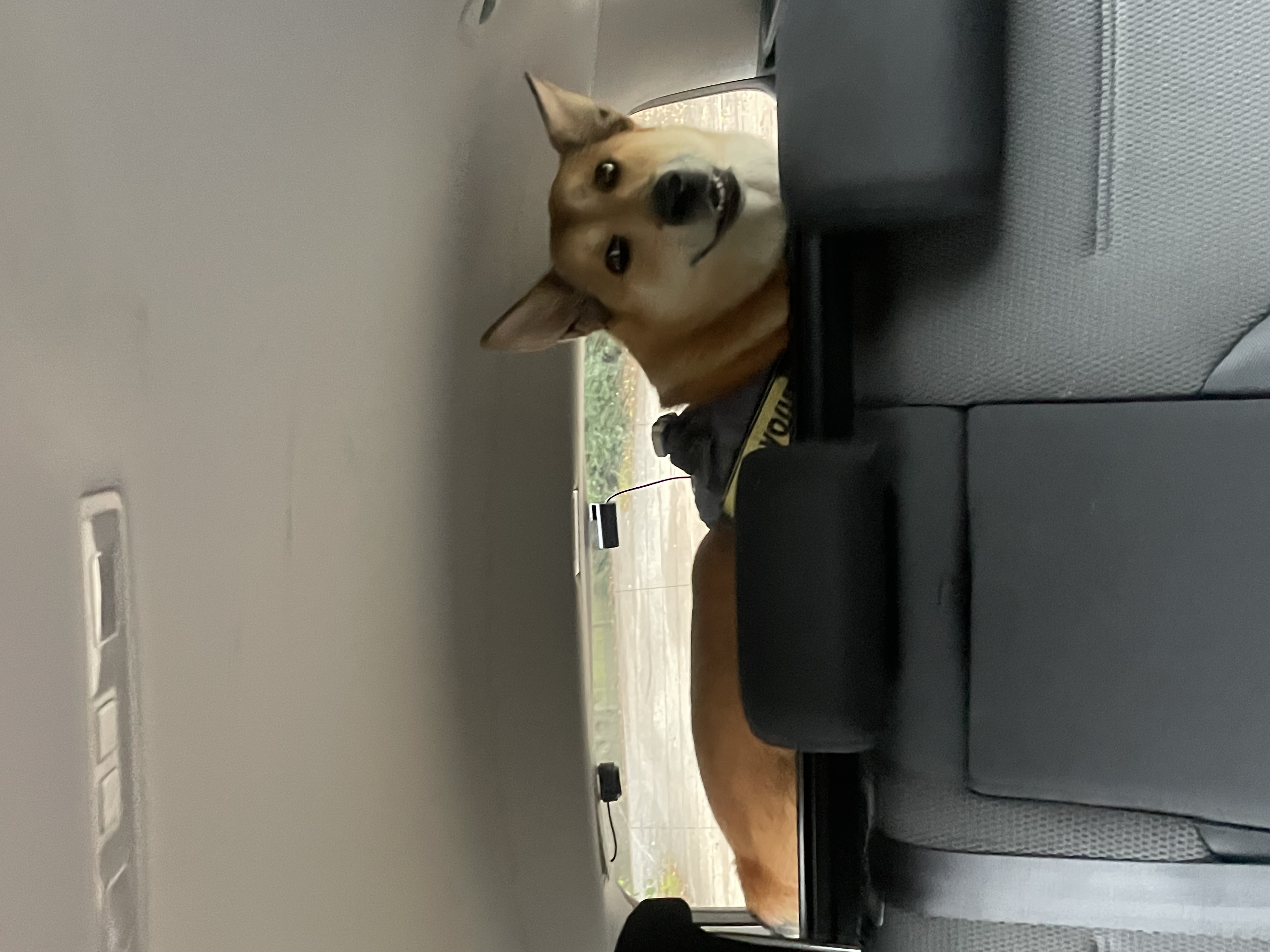 image-6