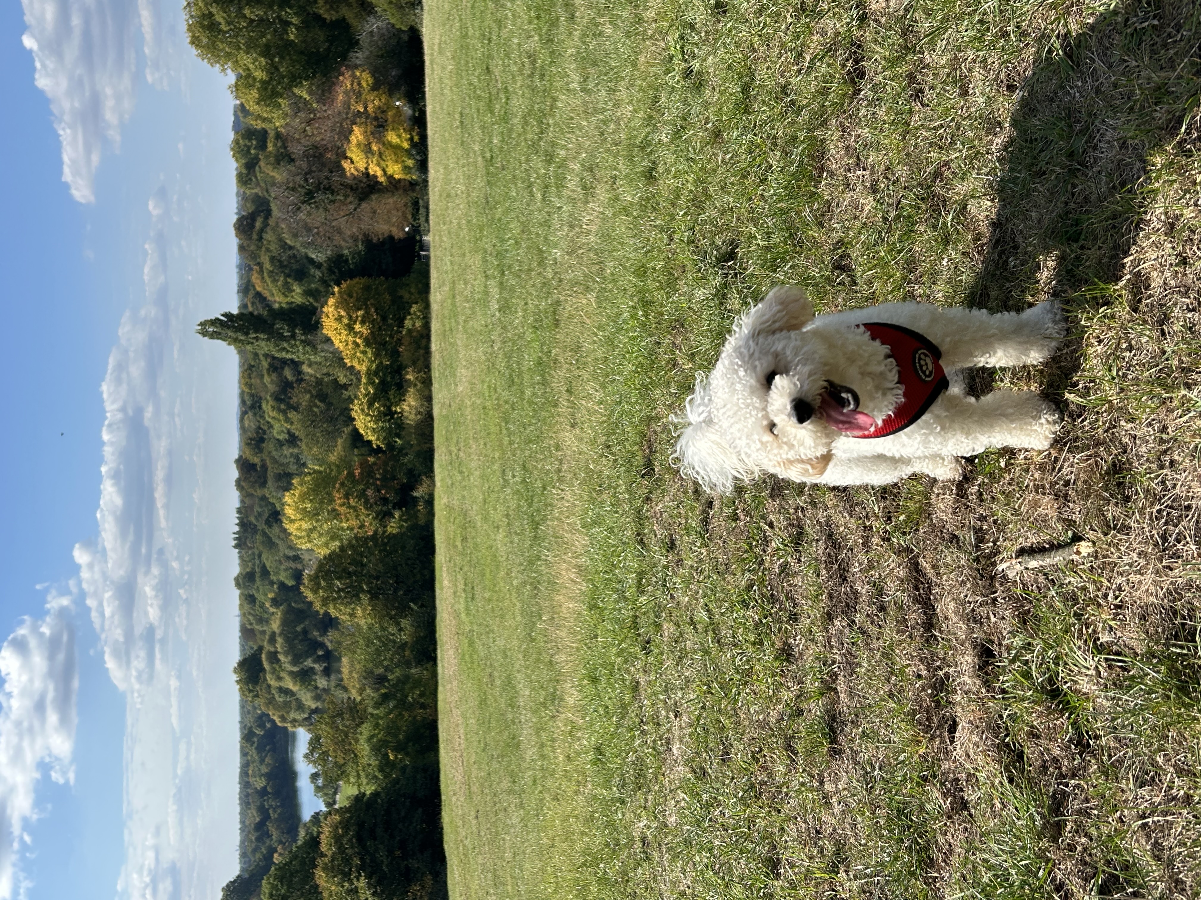 image-4