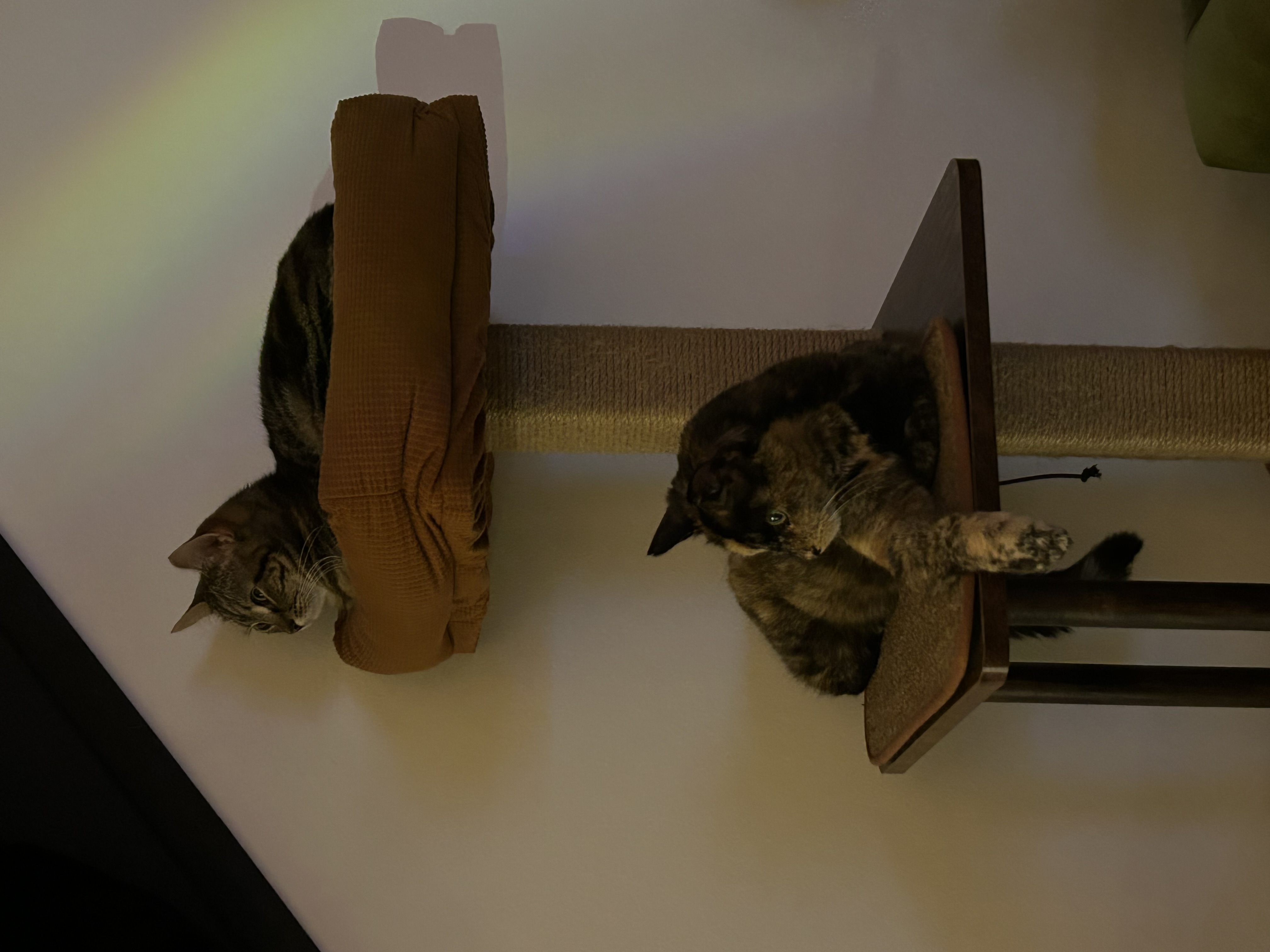 image-3