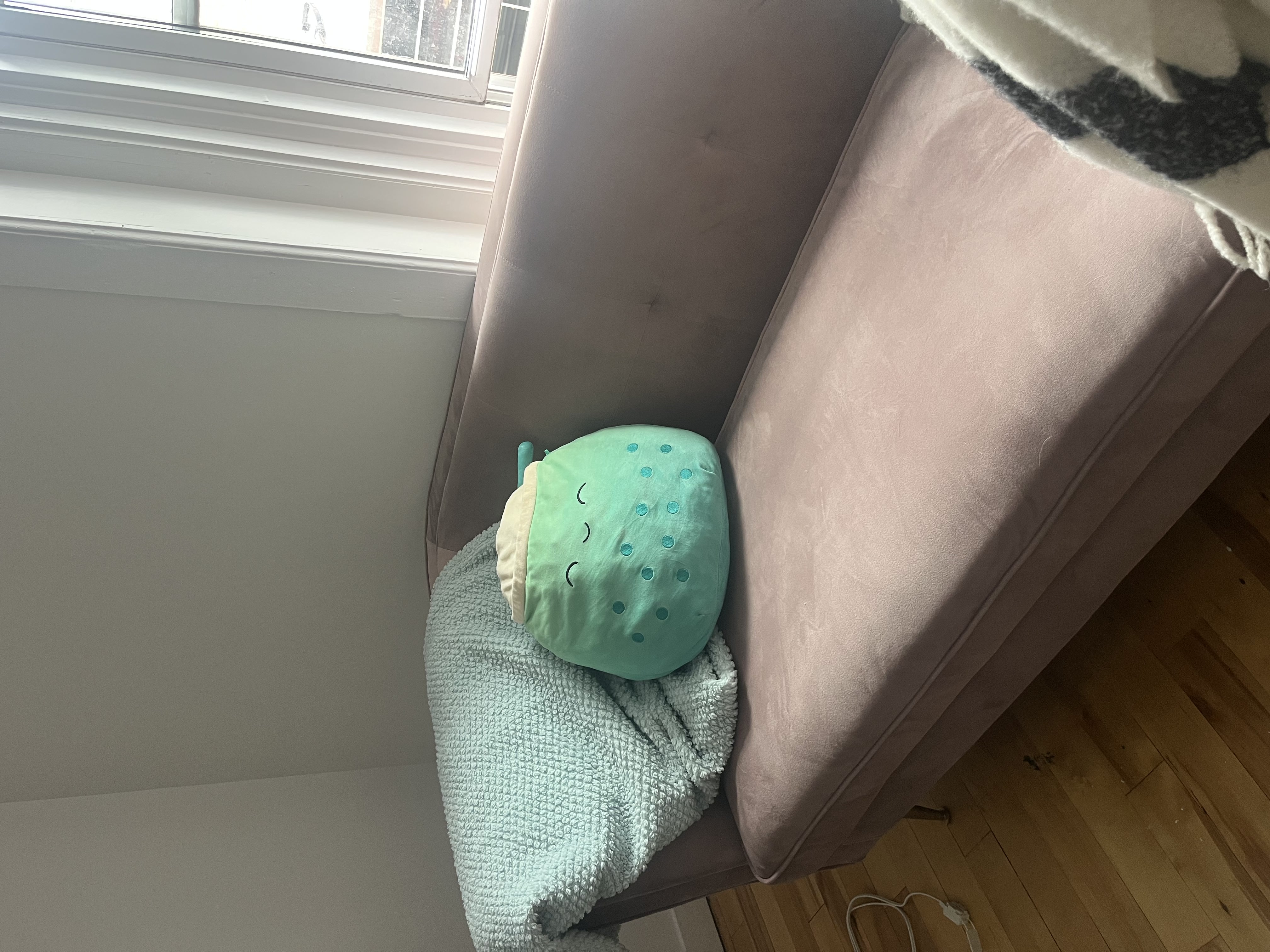 image-12