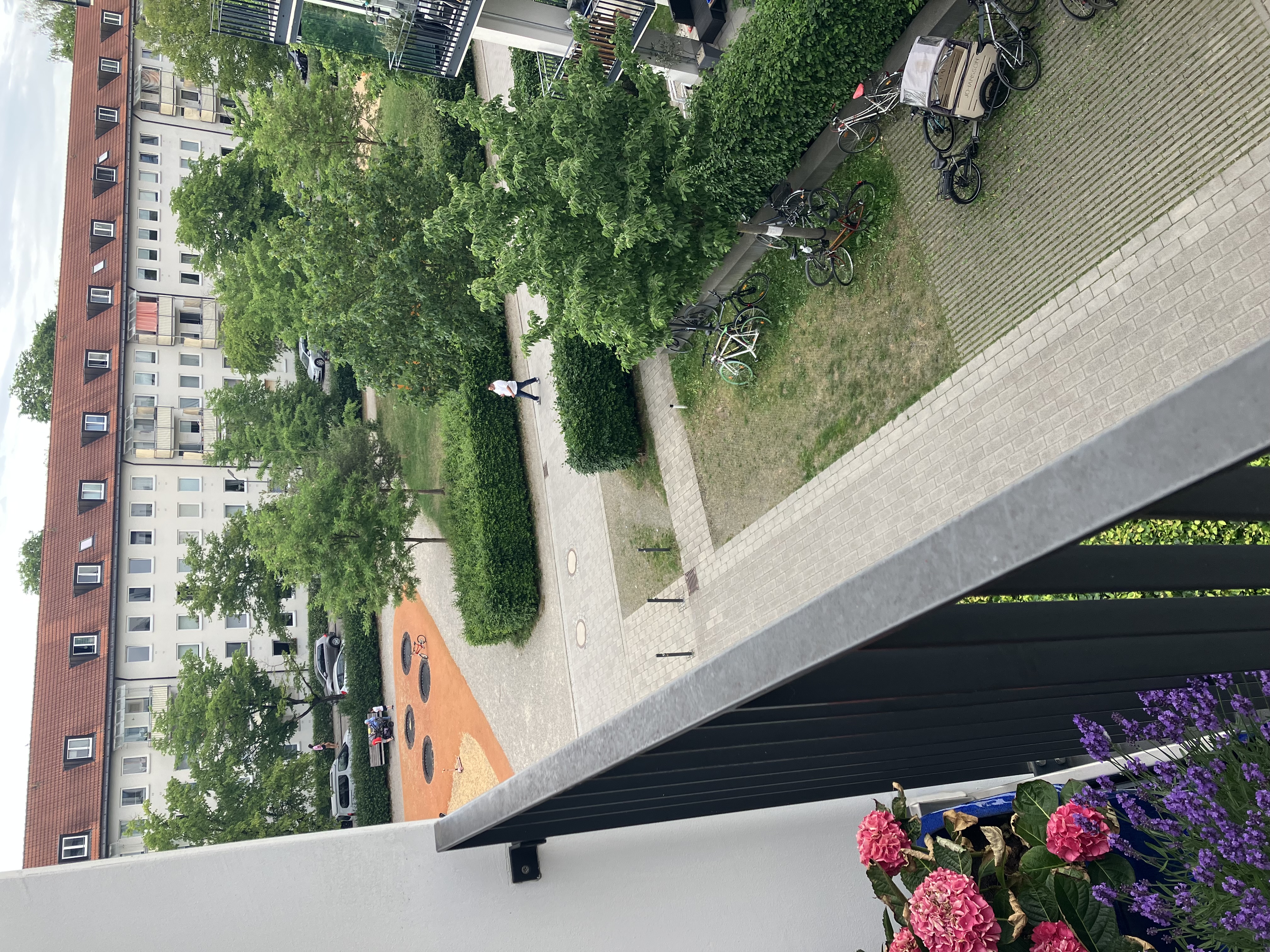 image-17