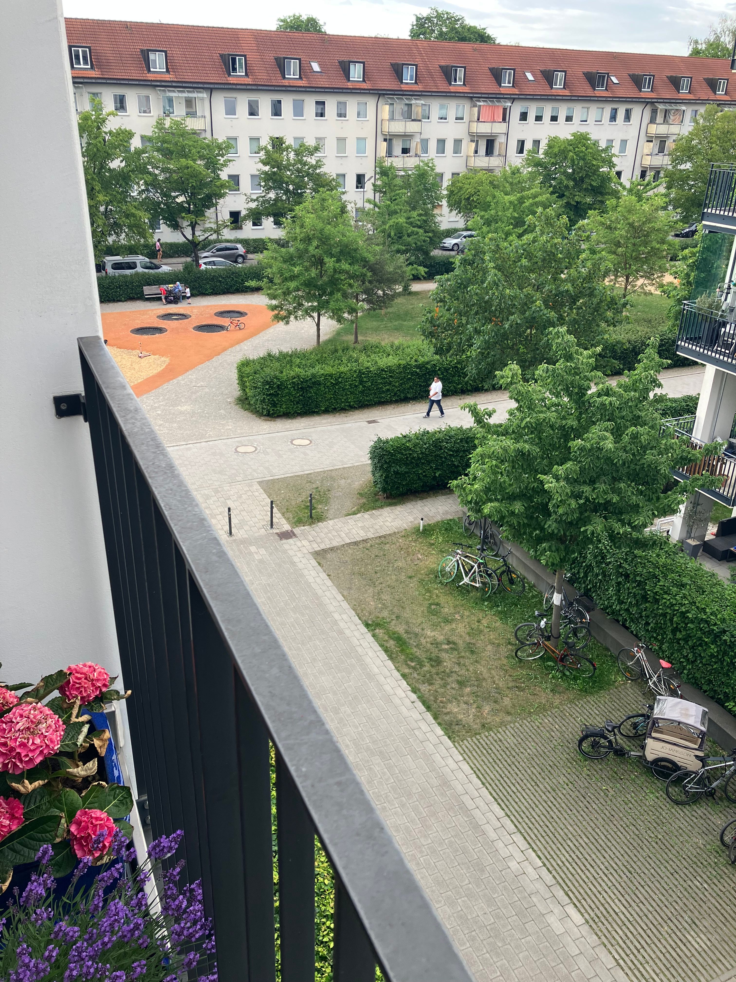 image-17