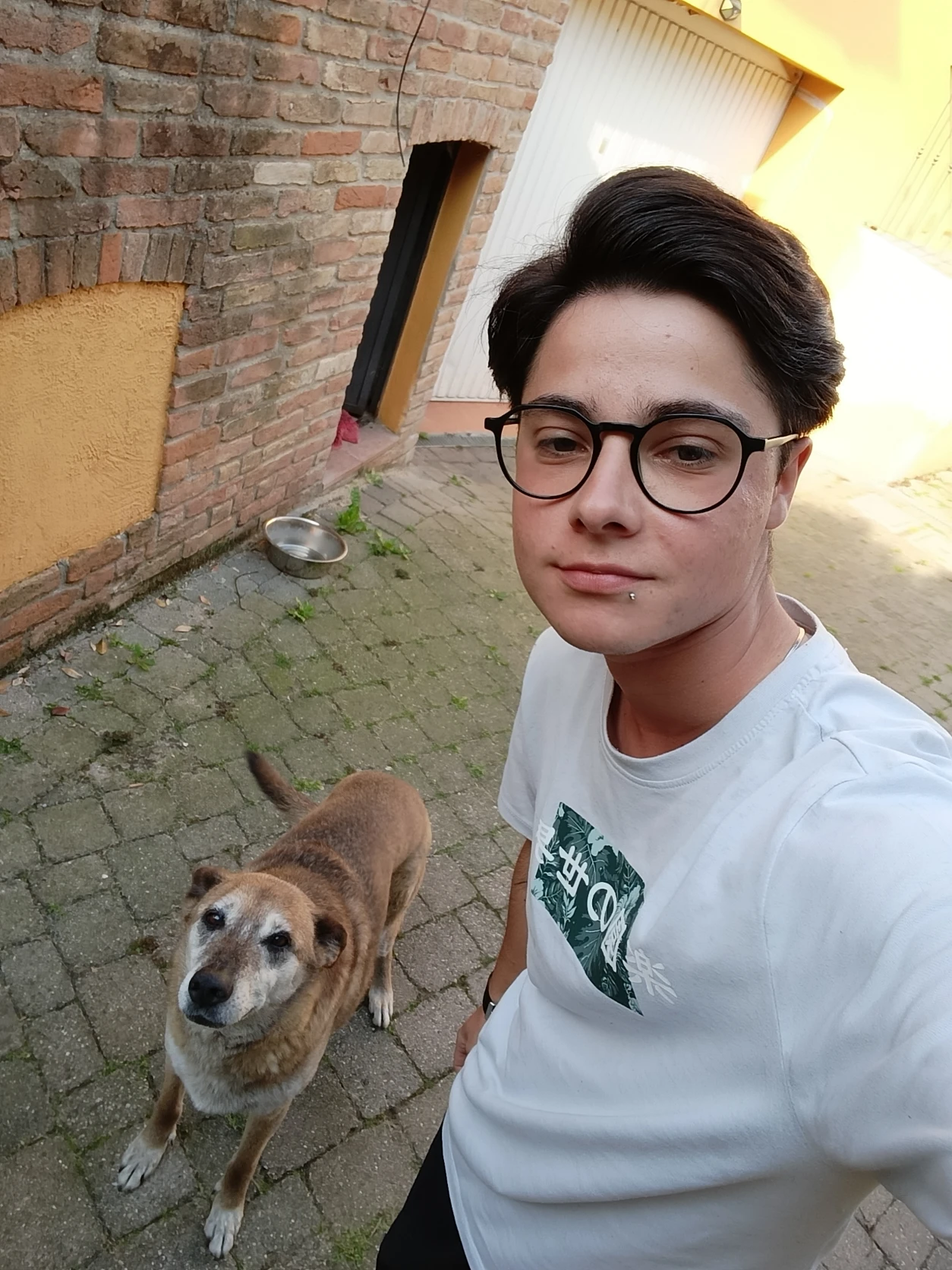 image-15
