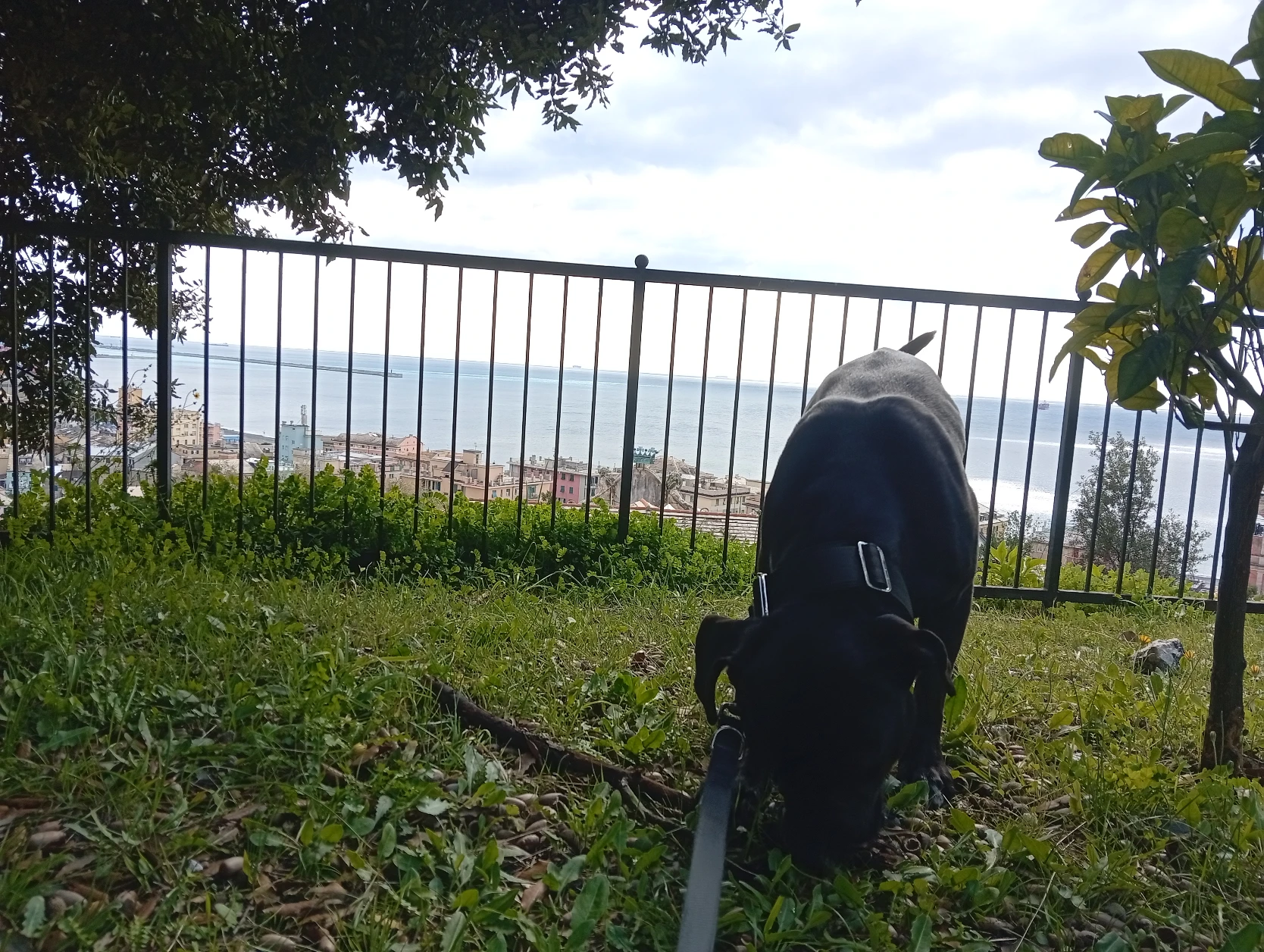 image-6