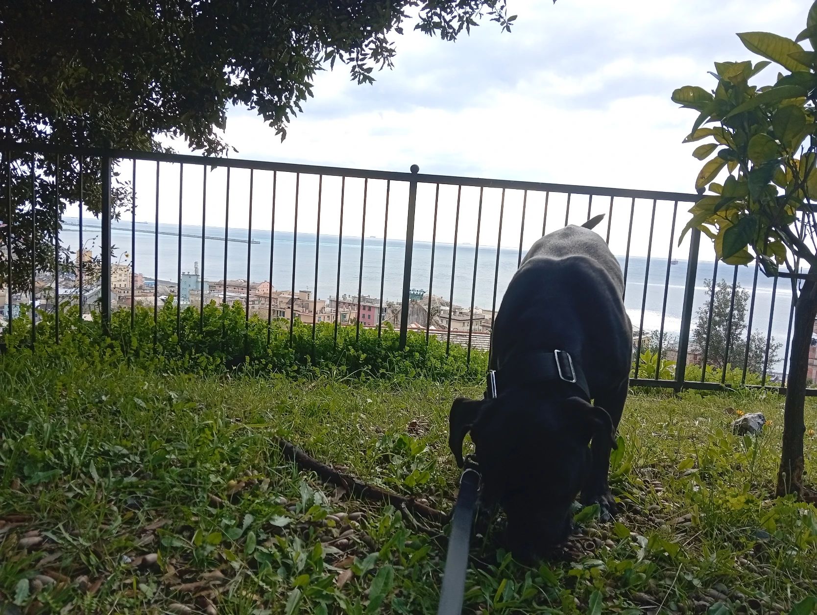 image-6