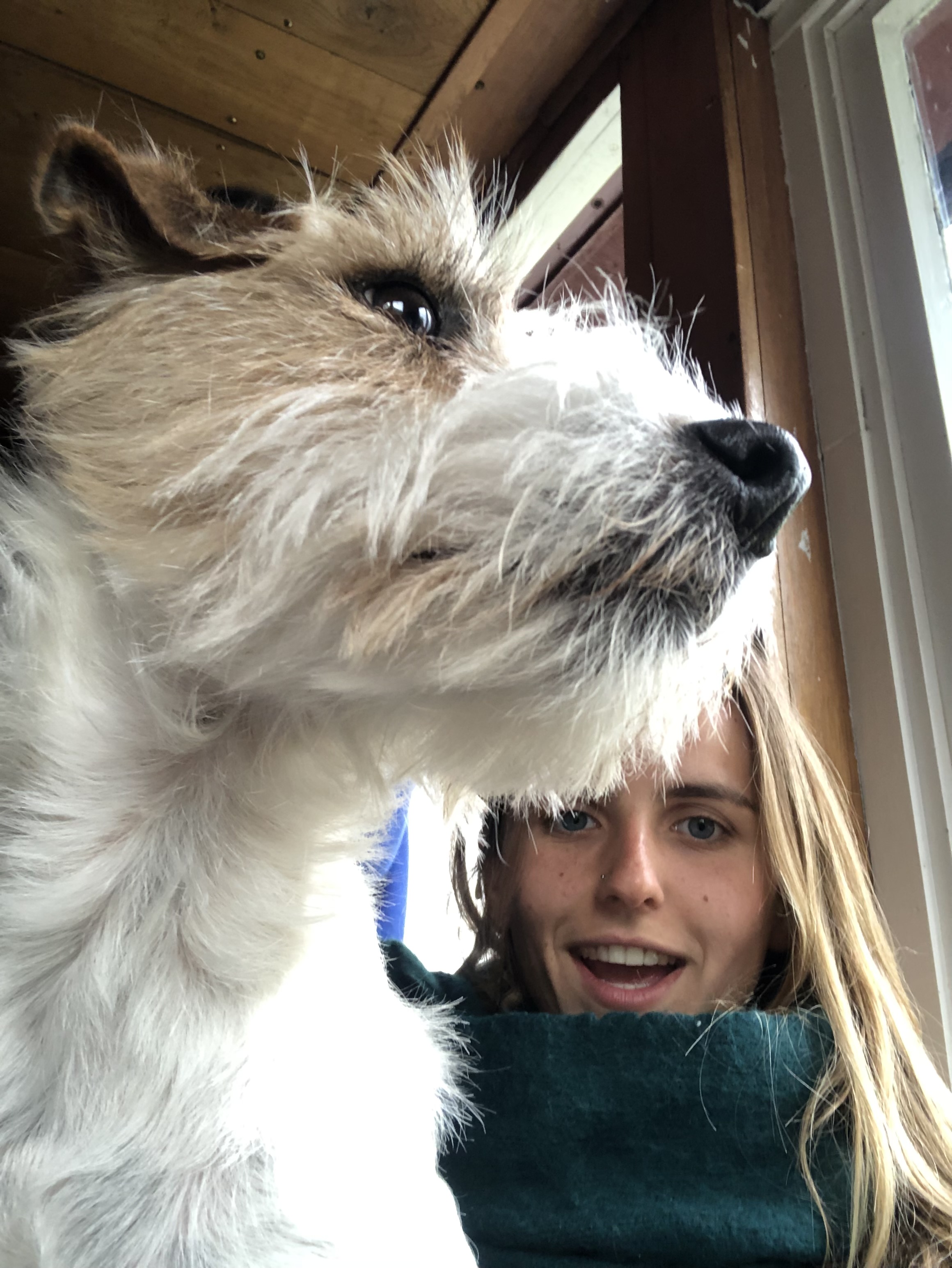image-5